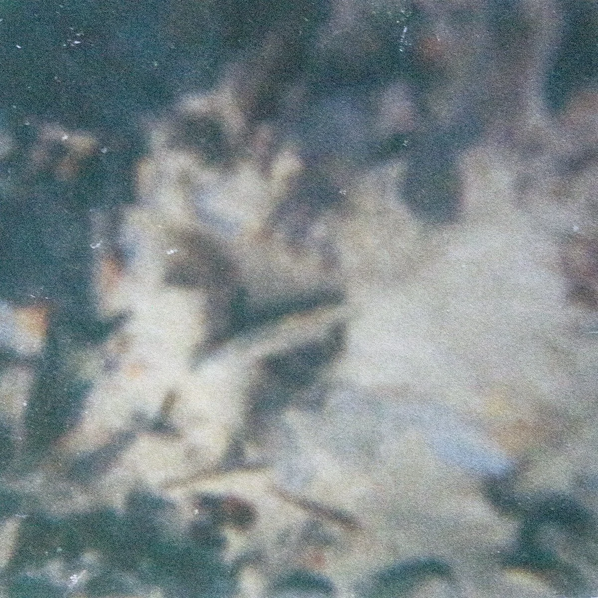 The Aber5.jpg