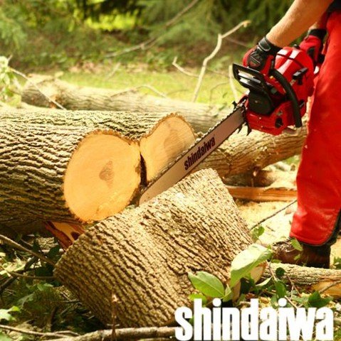 Power through the toughest jobs with the Shindaiwa 600SX Chainsaw. Professional-grade power and durability for logging, clearing, and heavy-duty work.