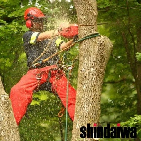 Cut with Confidence. 
The Shindaiwa 358Ts Chainsaw combines precision, power, and comfort - perfect for professional tree work and demanding jobs.
📞 Call us today at (229) 223-3189! to learn more!