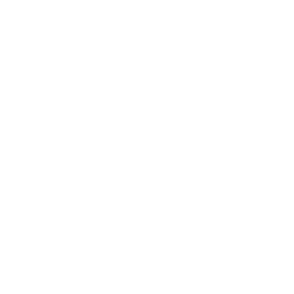 FlyForSport