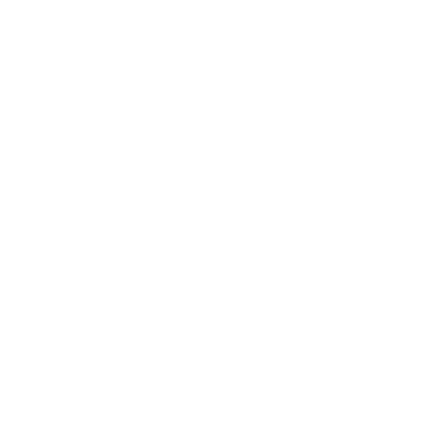 FlyForSport