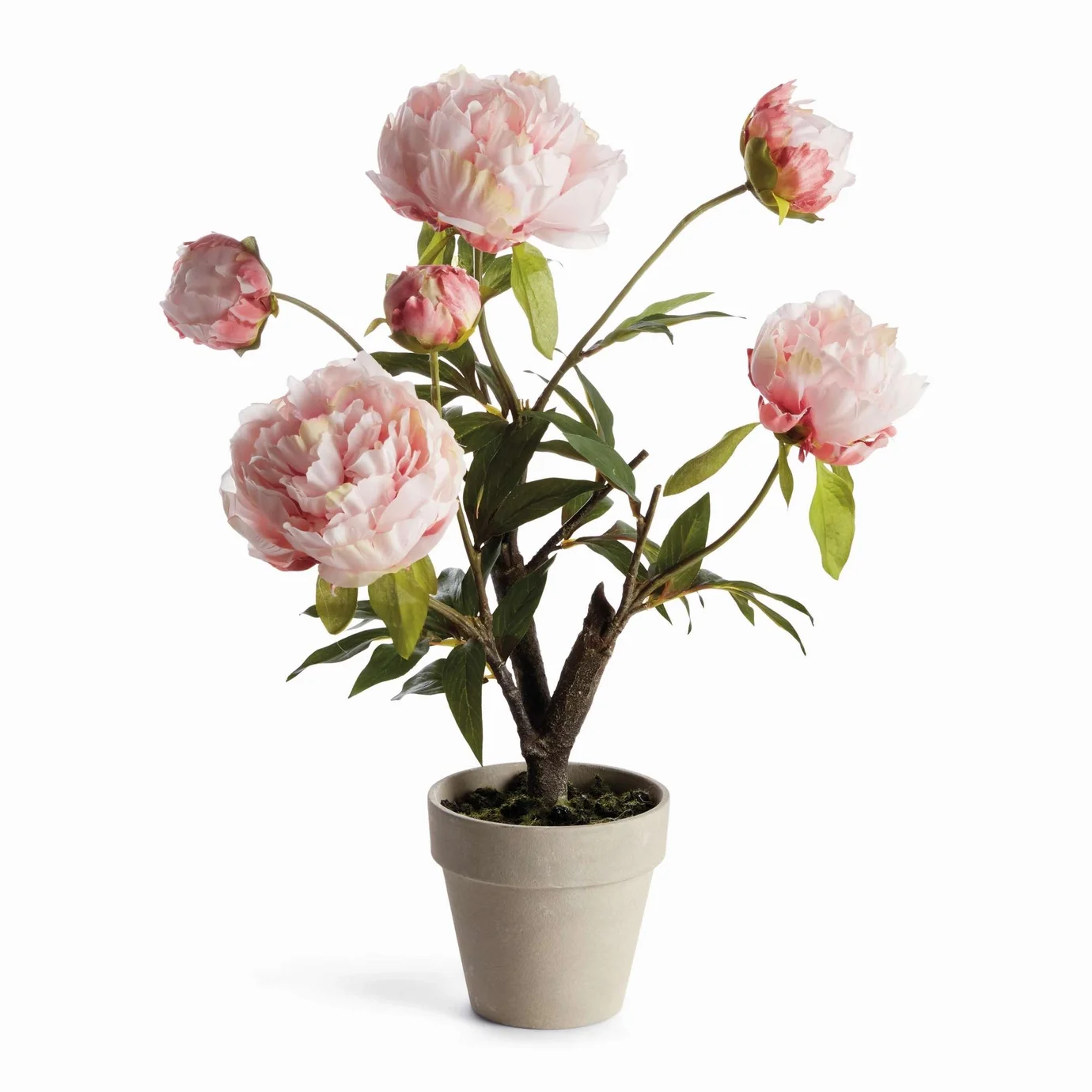 Peony Potted Drop-in 18" - Light Pink