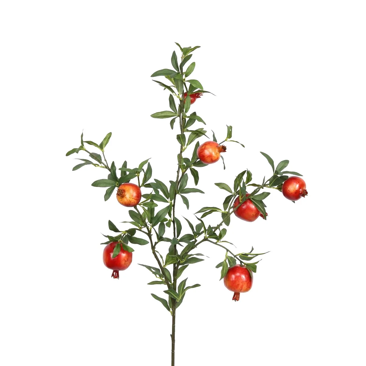 Pomegranate Stem