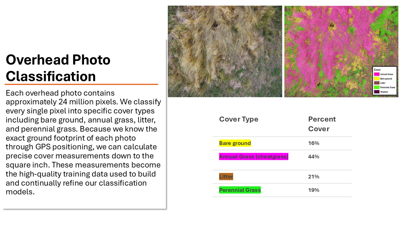 Presentatioforgif website5.png