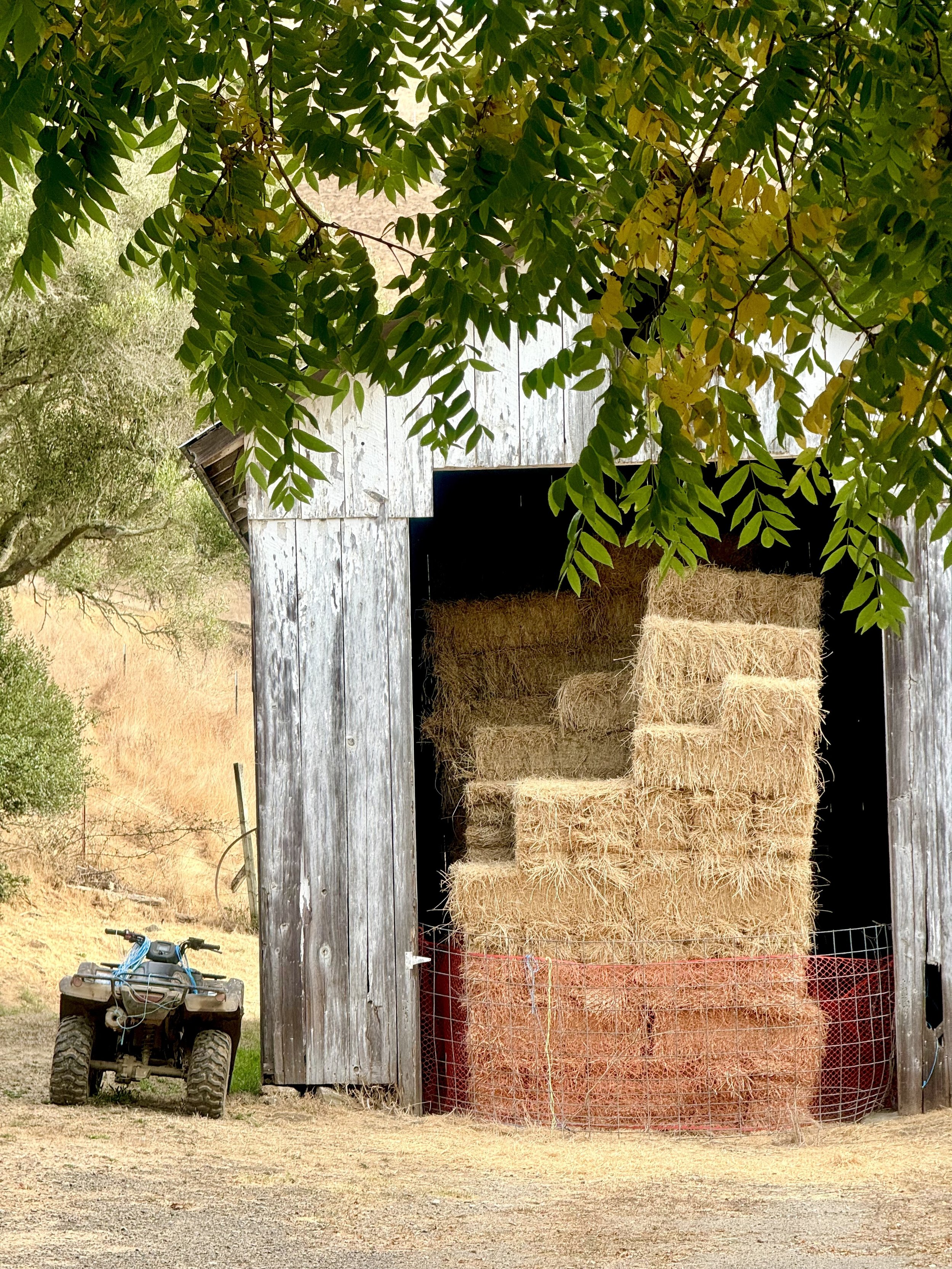 Hay Barn