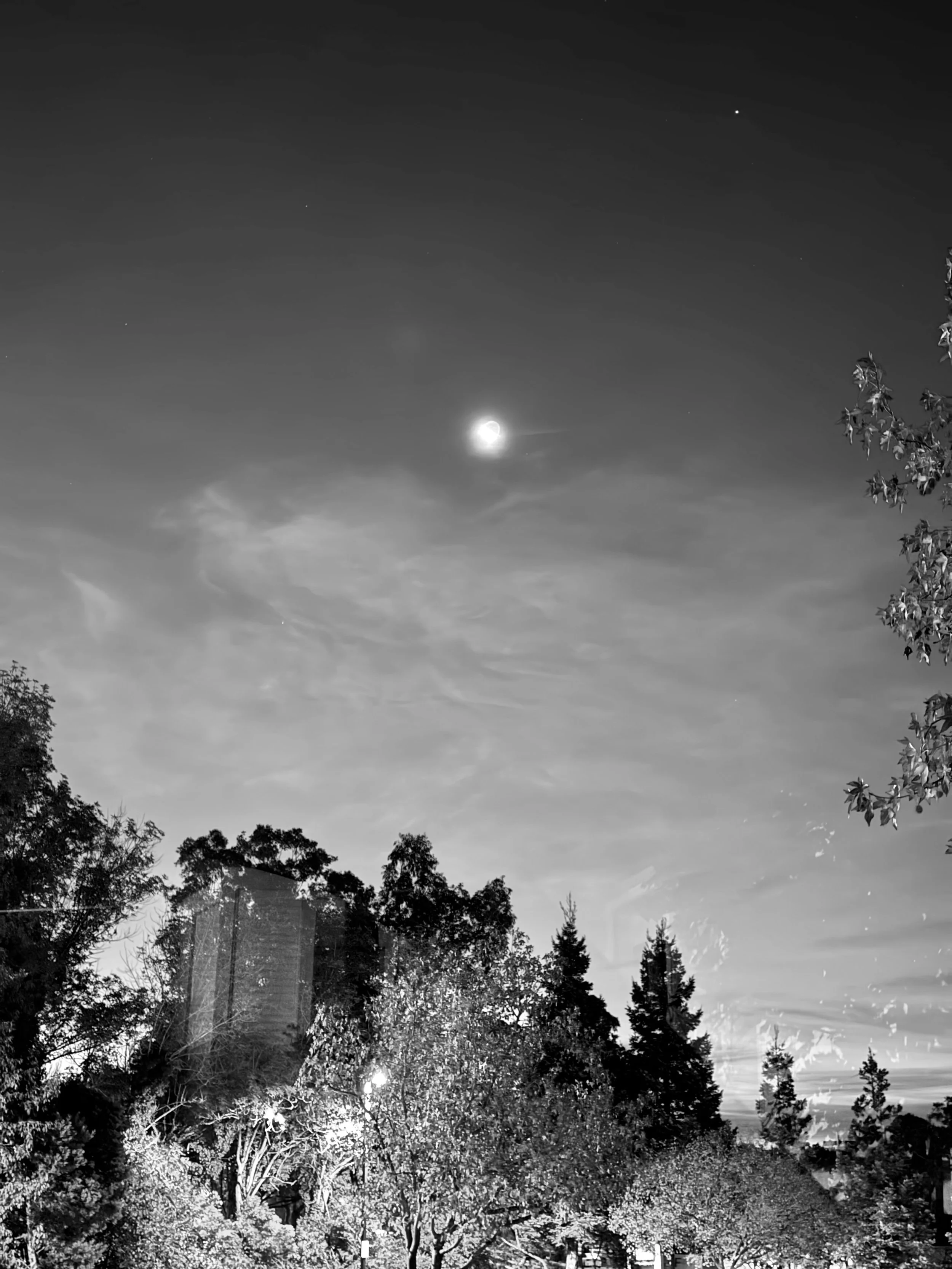Van Windshield View B&W