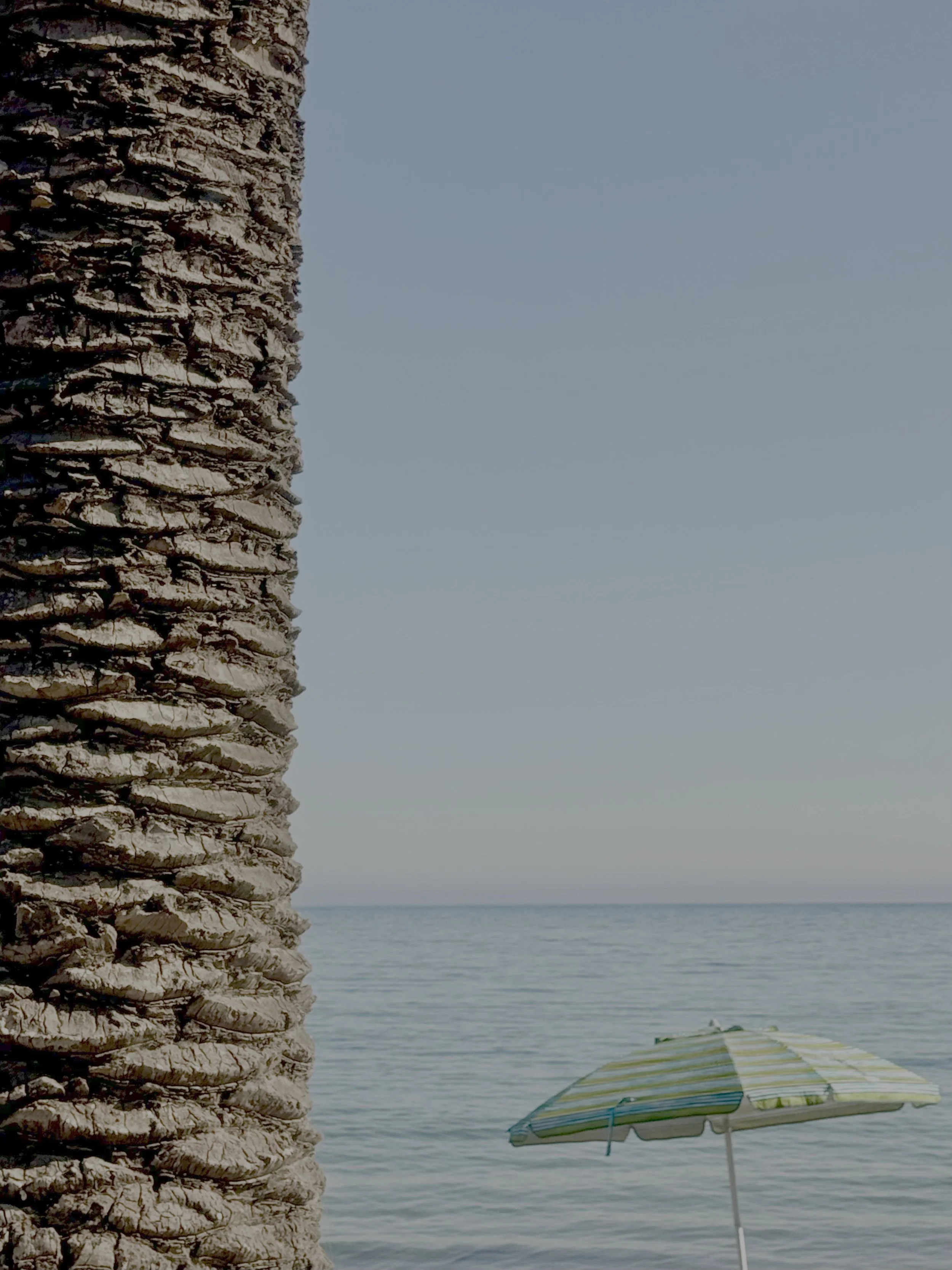 Palm Tree & Umbrella