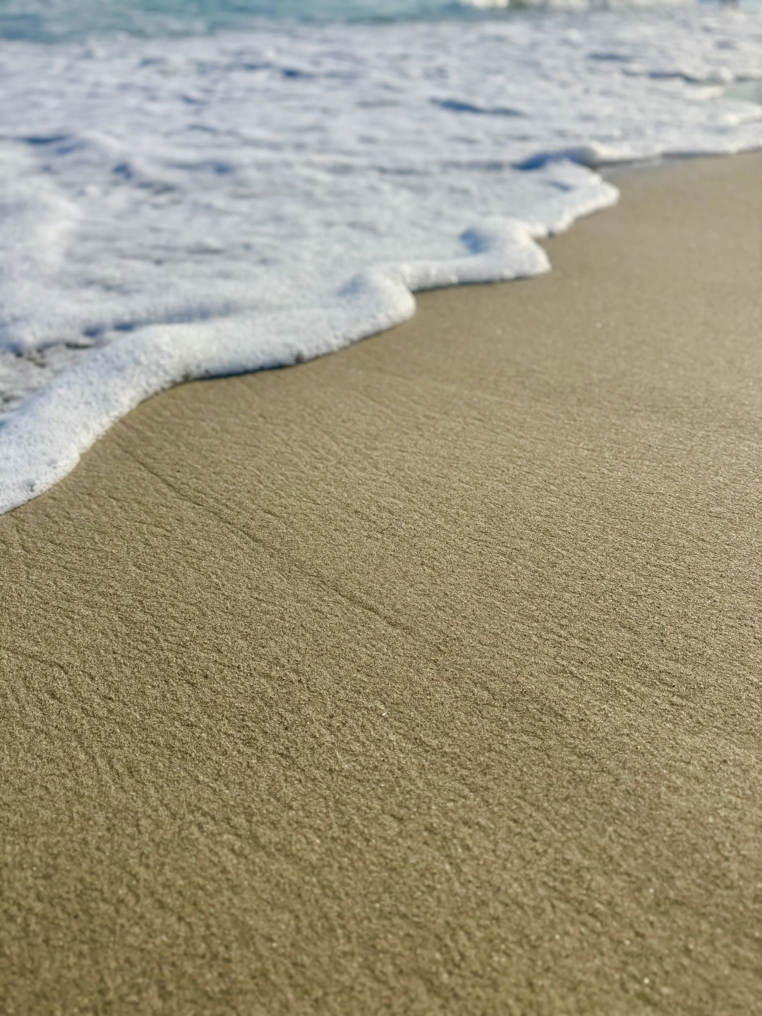 Sand & Sea Shoreline