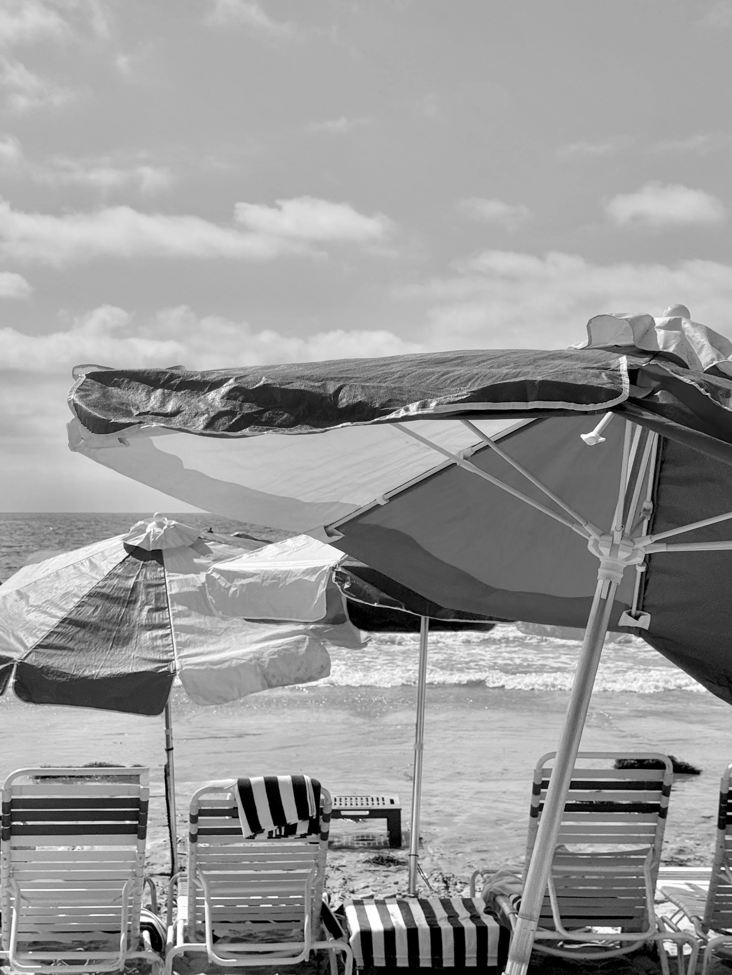 Umbrellas & Beach Towels B&W