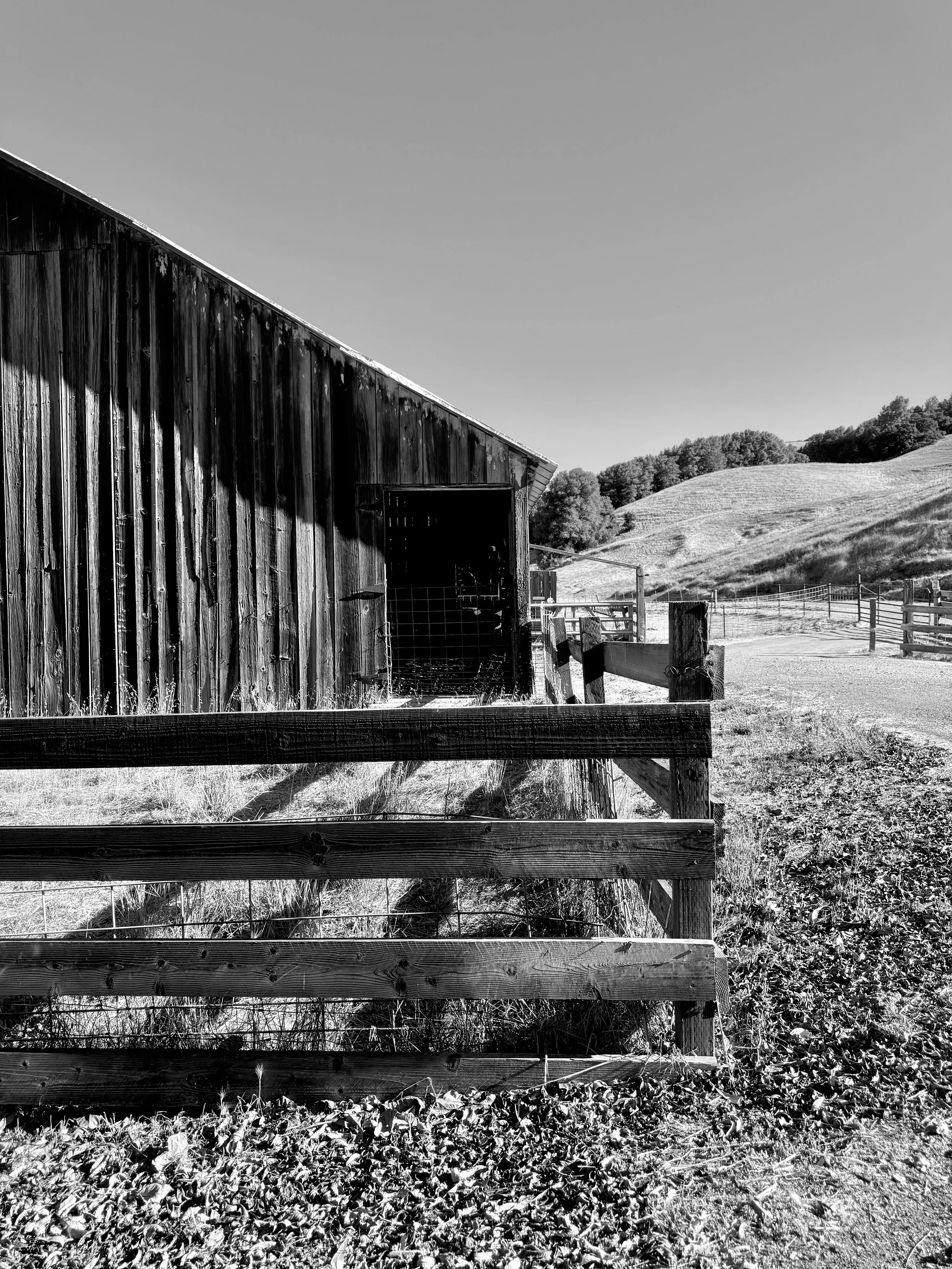 Barn B&W