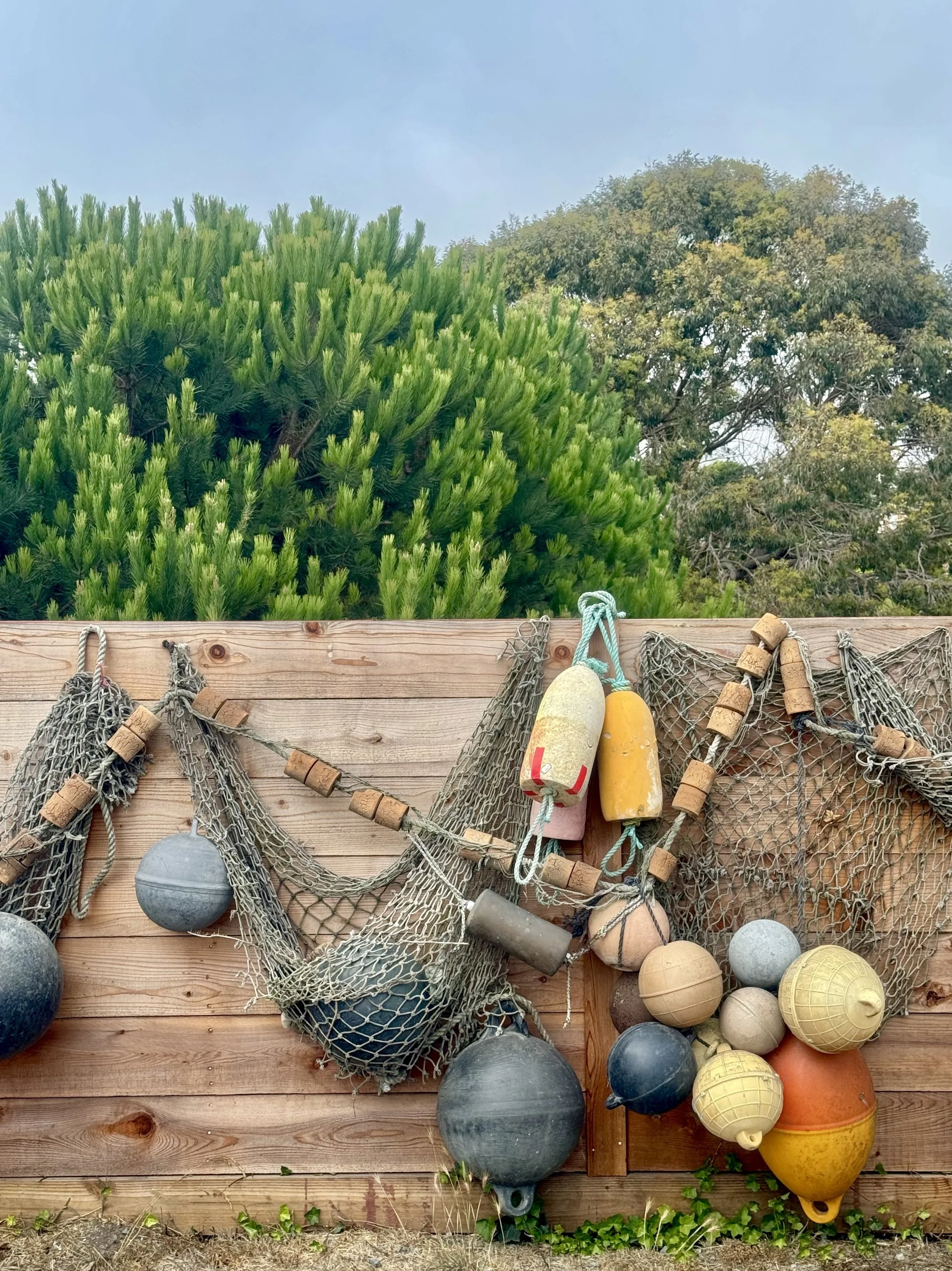 Bodega Bay Fishing Net