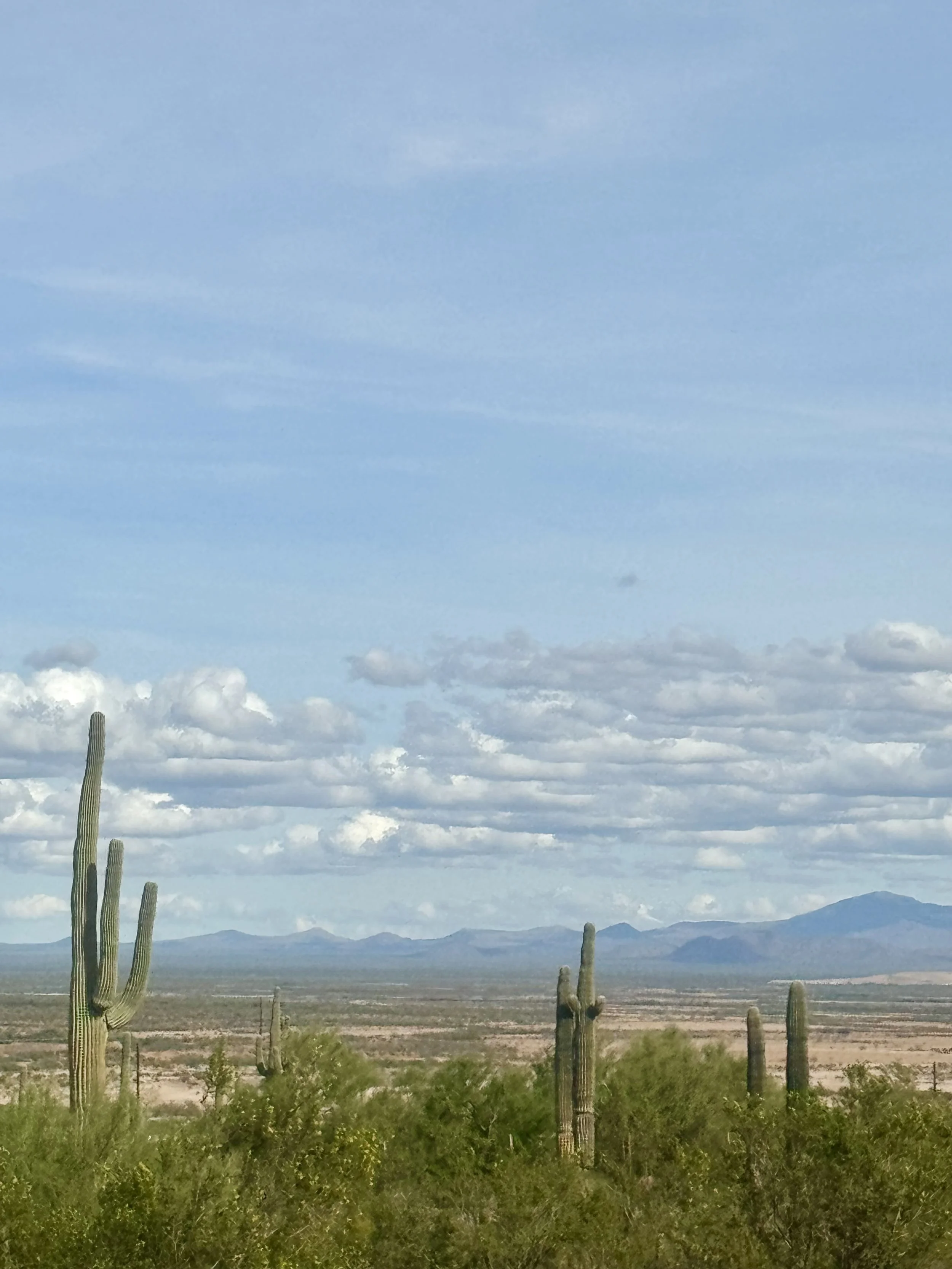 Picacho Peak Desert View