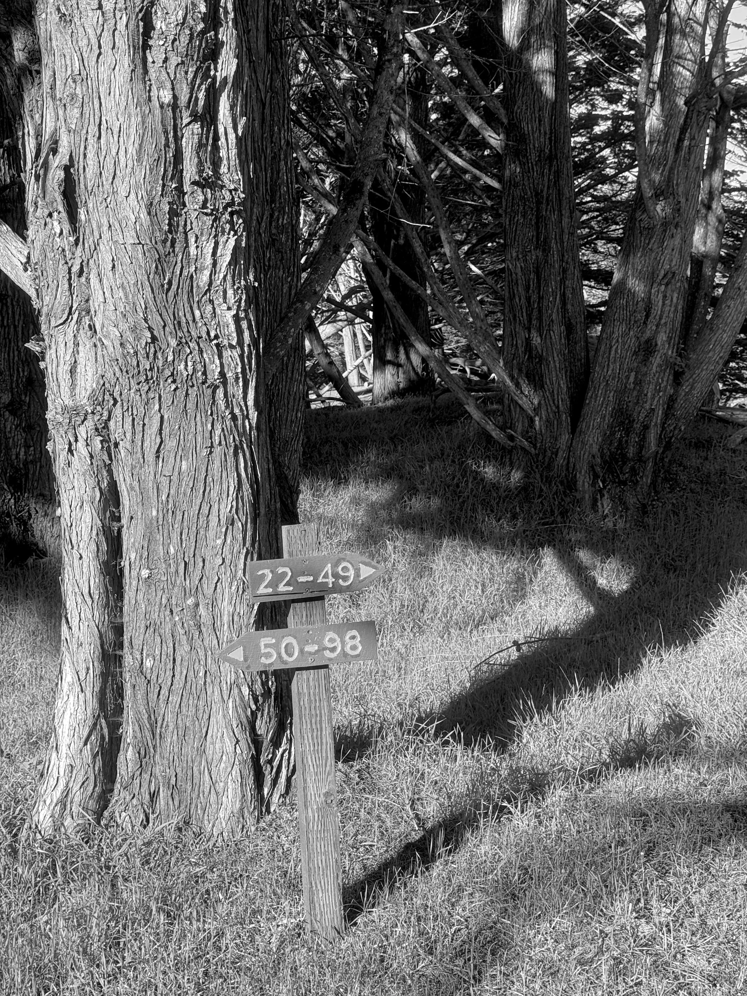 Campground Site Numbers B&W