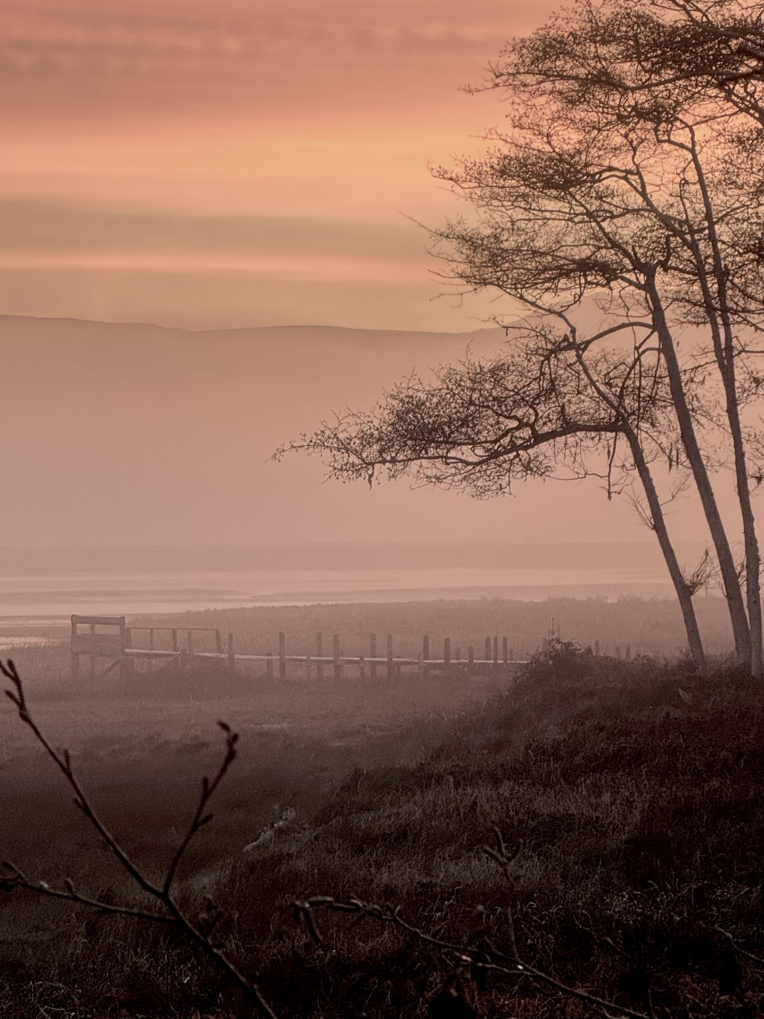 Rose Sunrise at Inverness