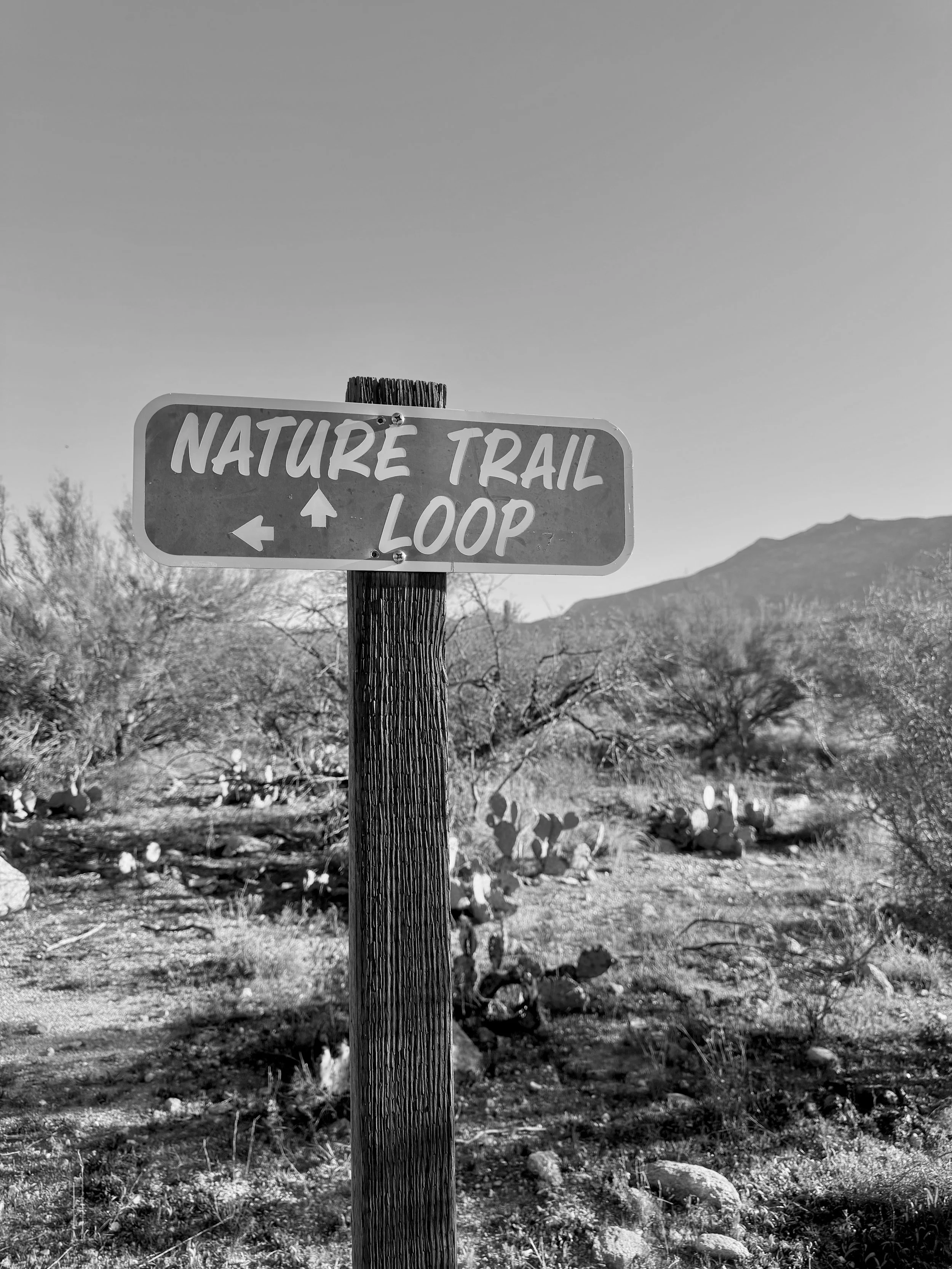 Nature Trail Loop Sign B&W