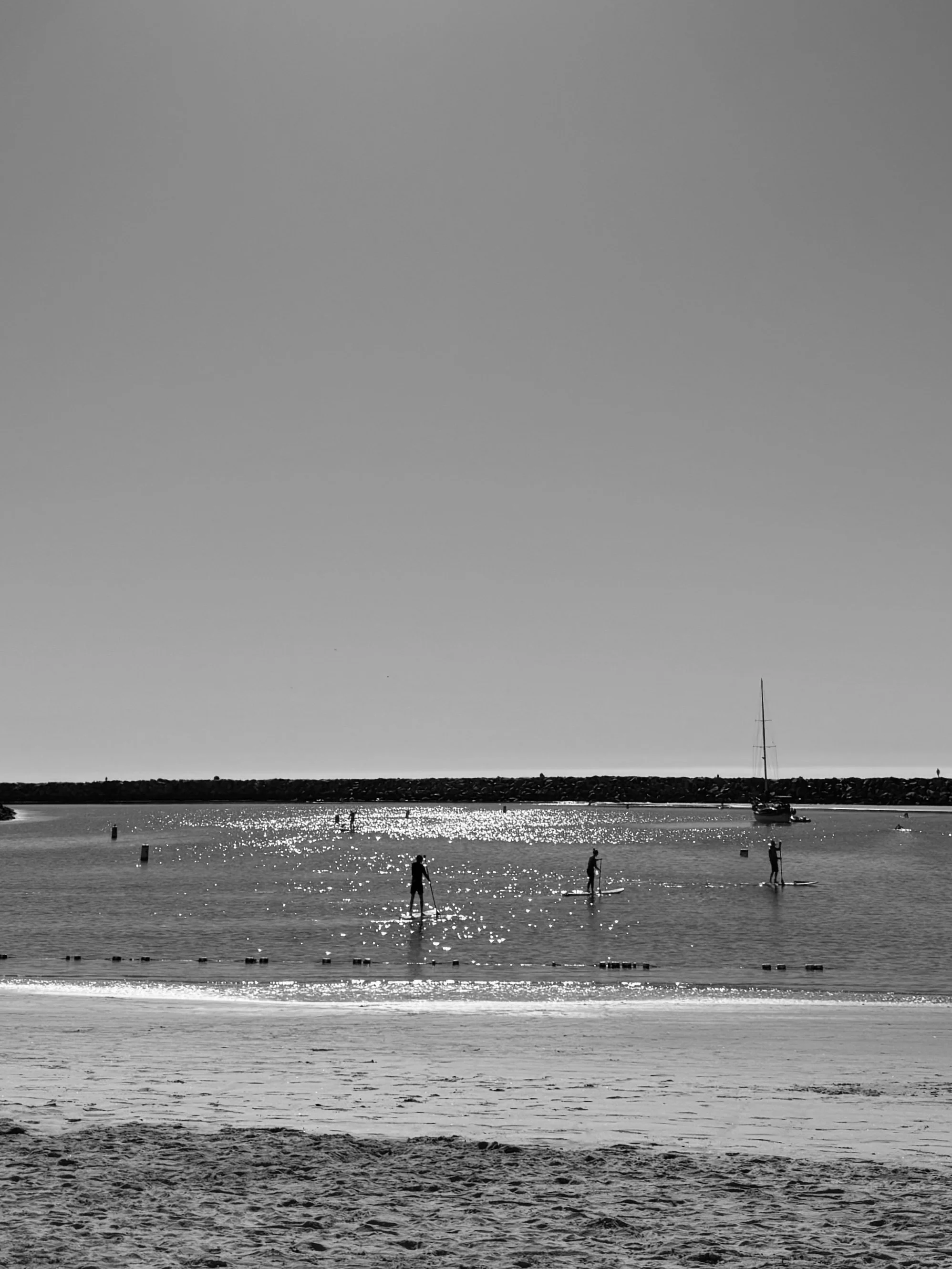 Paddle Boarding in Bay B&W