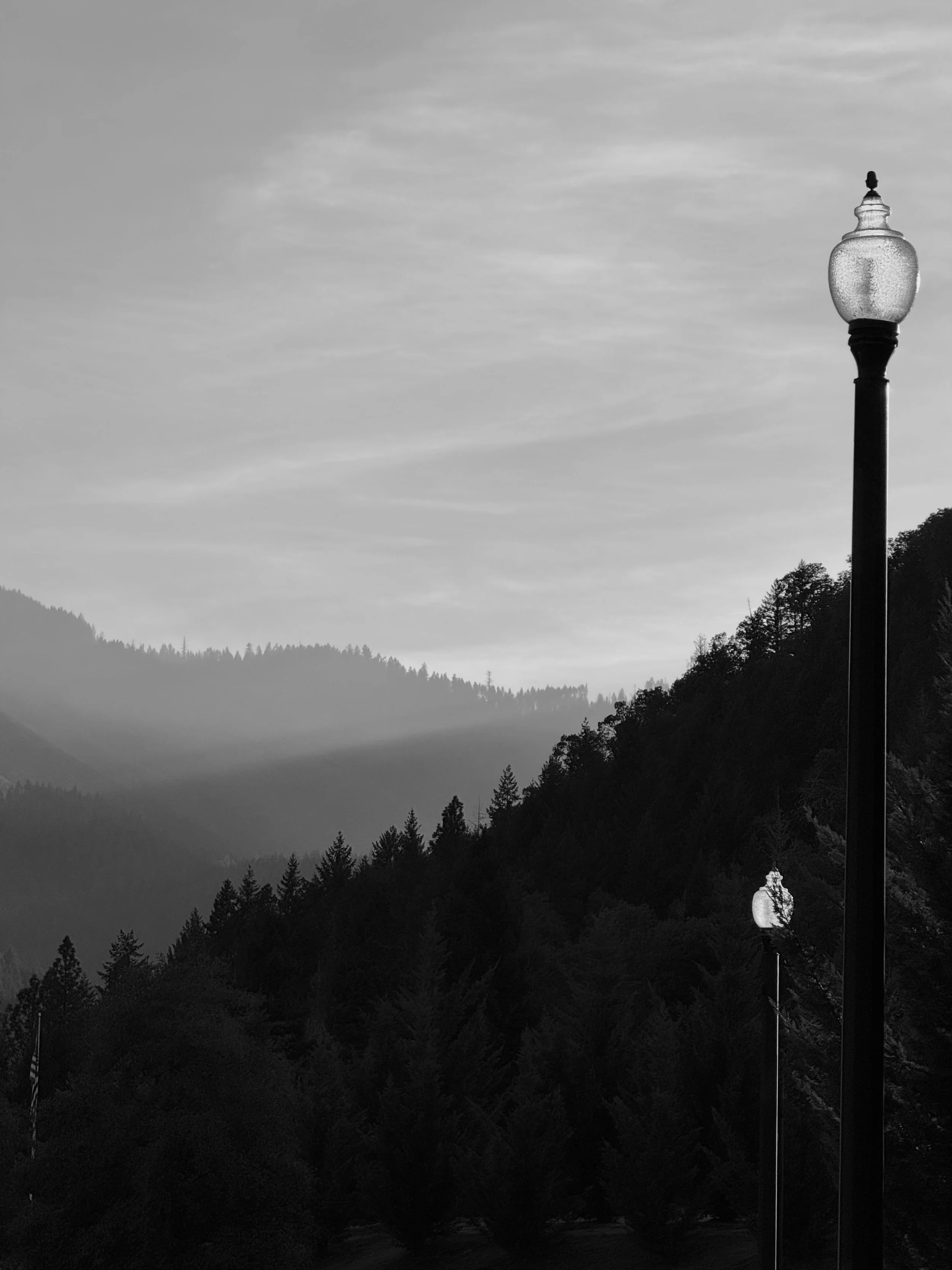 Lamppost Trees & Valley B&W