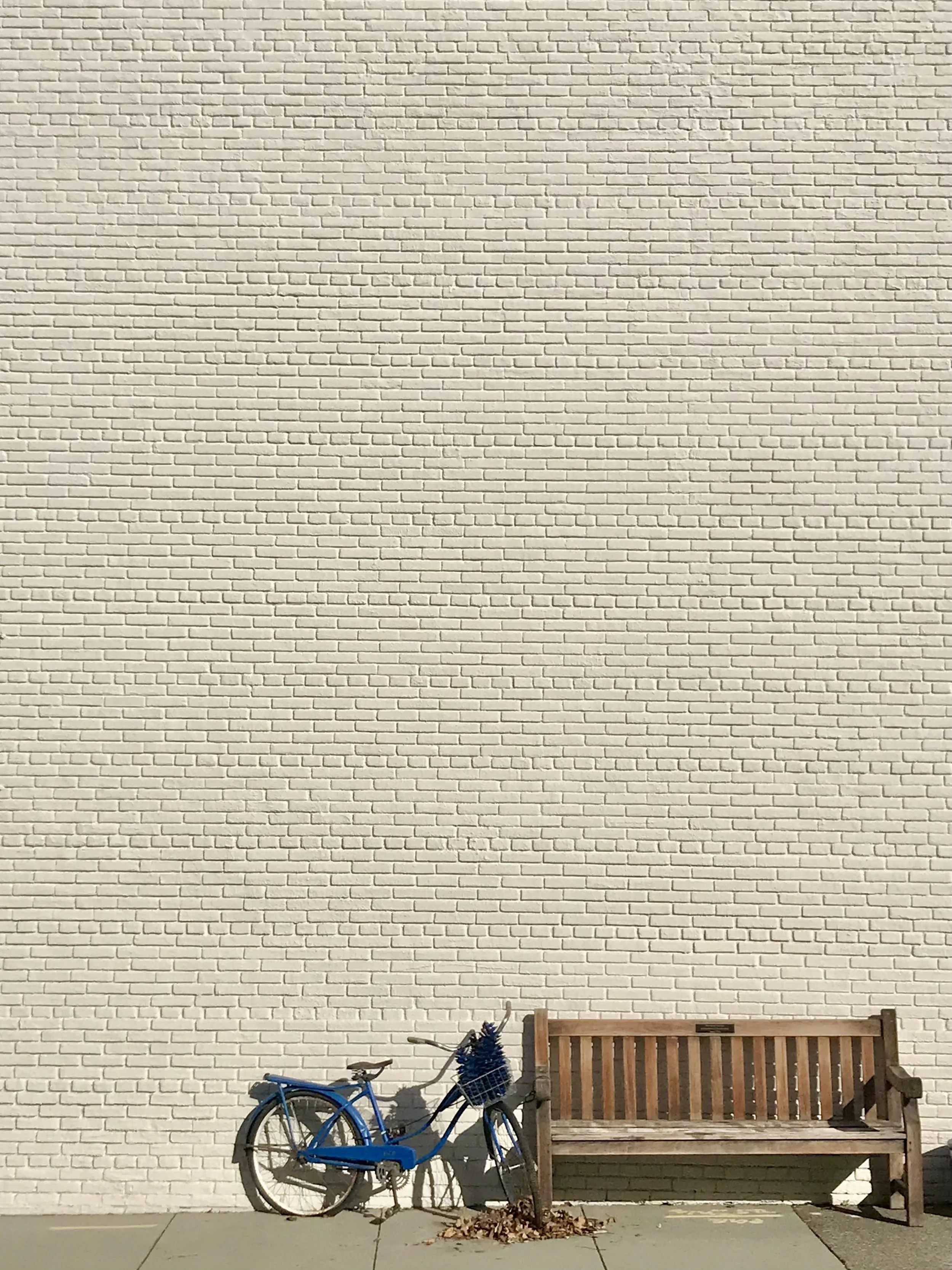 Blue Bike & Bench