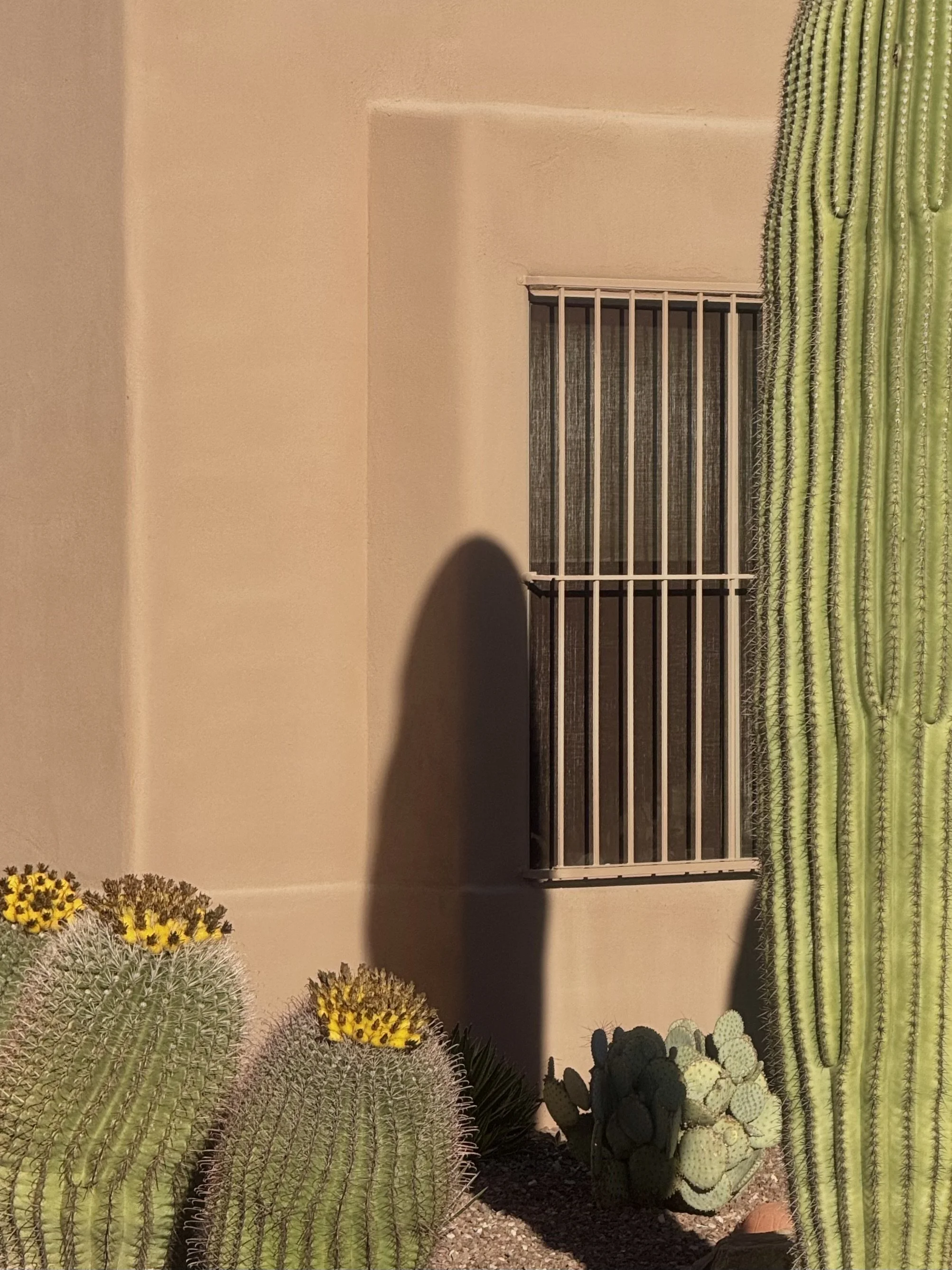 Terracotta Adobe & Cactus