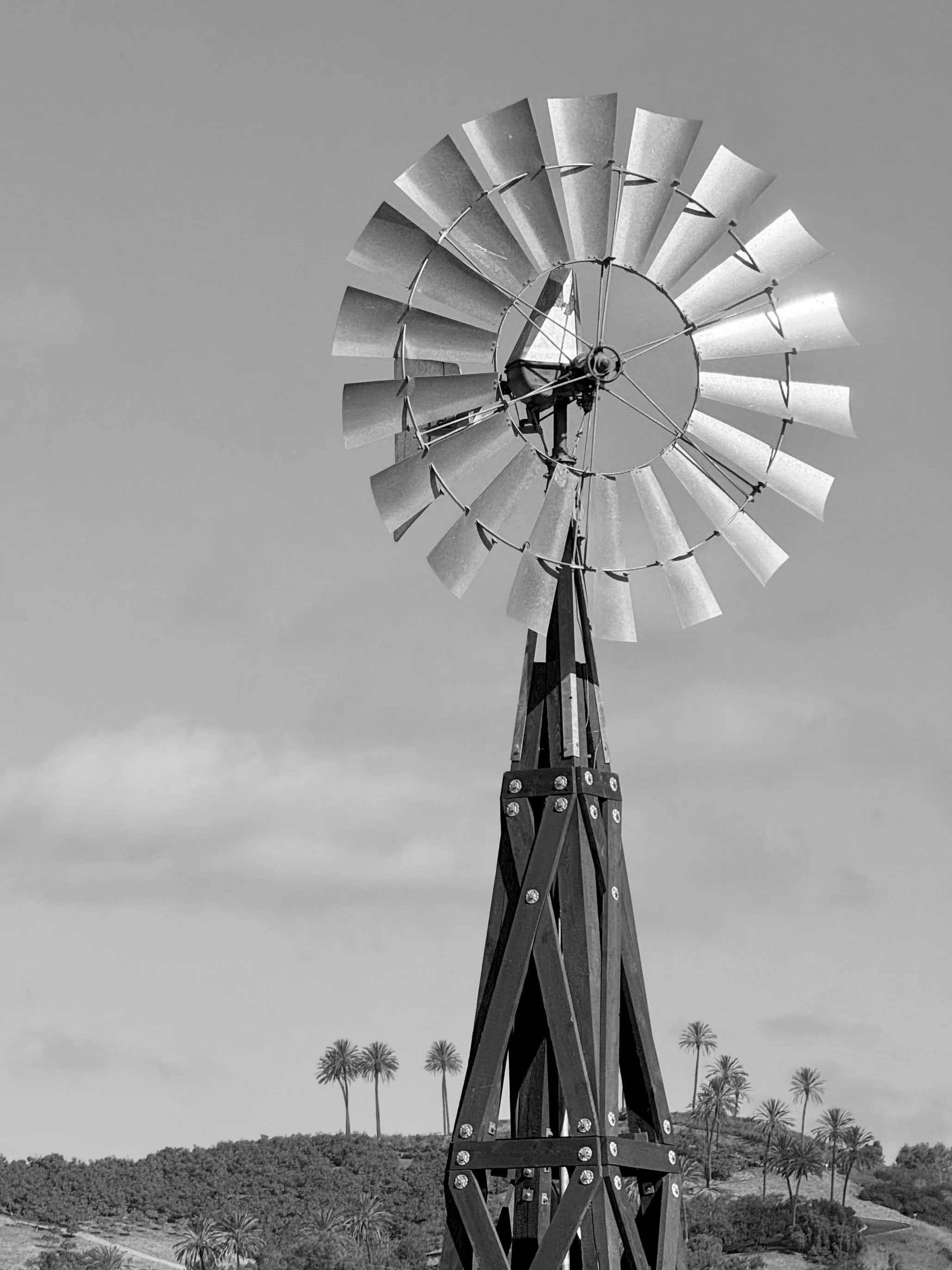 Windmill B&W