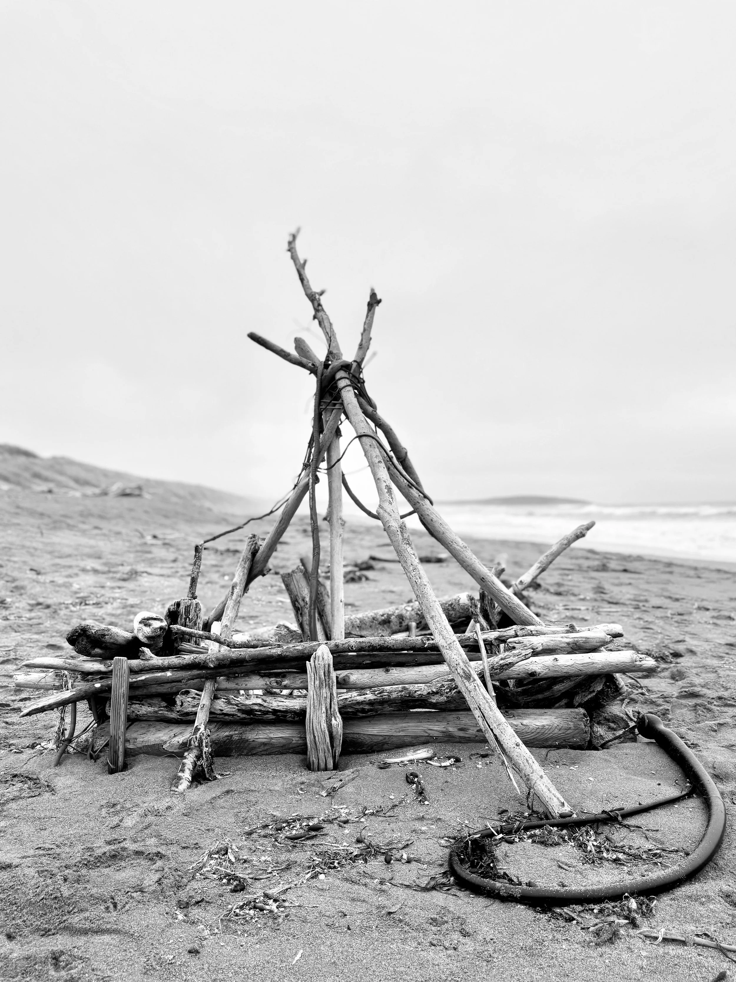 Driftwood on Beach B&W
