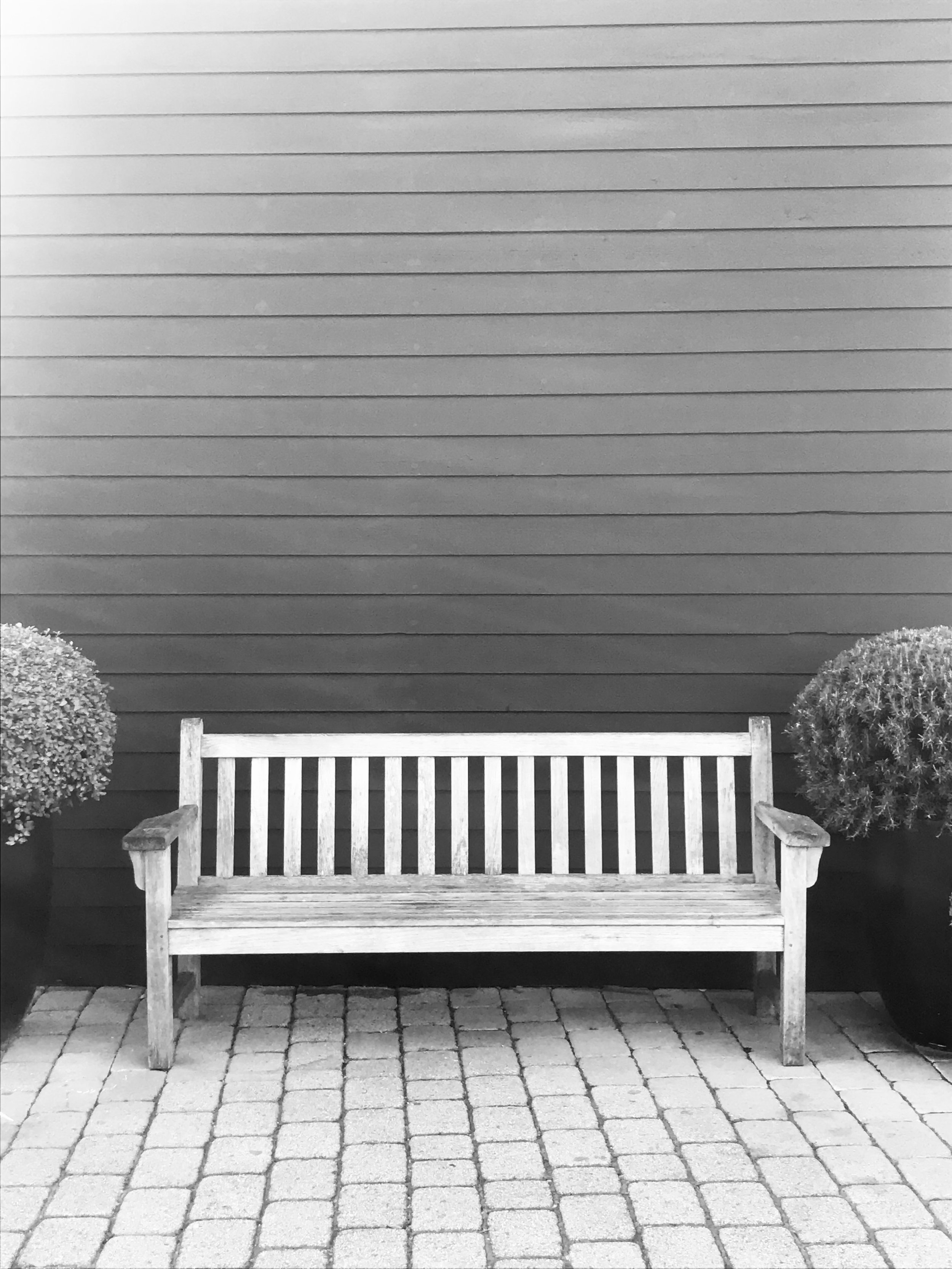 Wood Bench on Bricks B&W