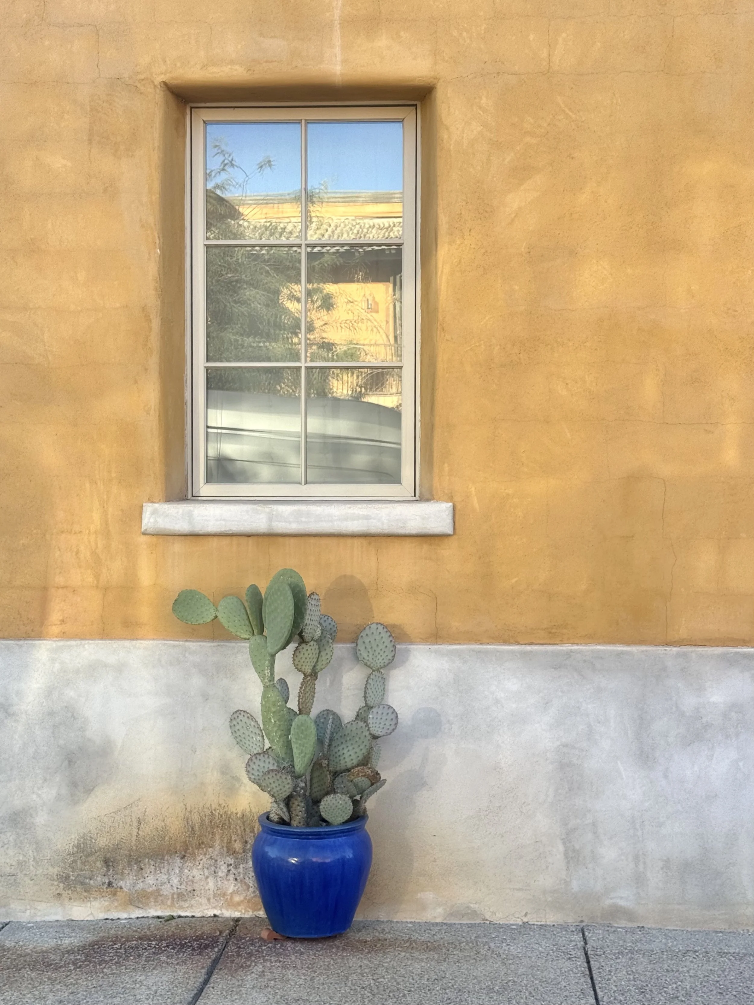 Mustard Adobe & Blue Pot