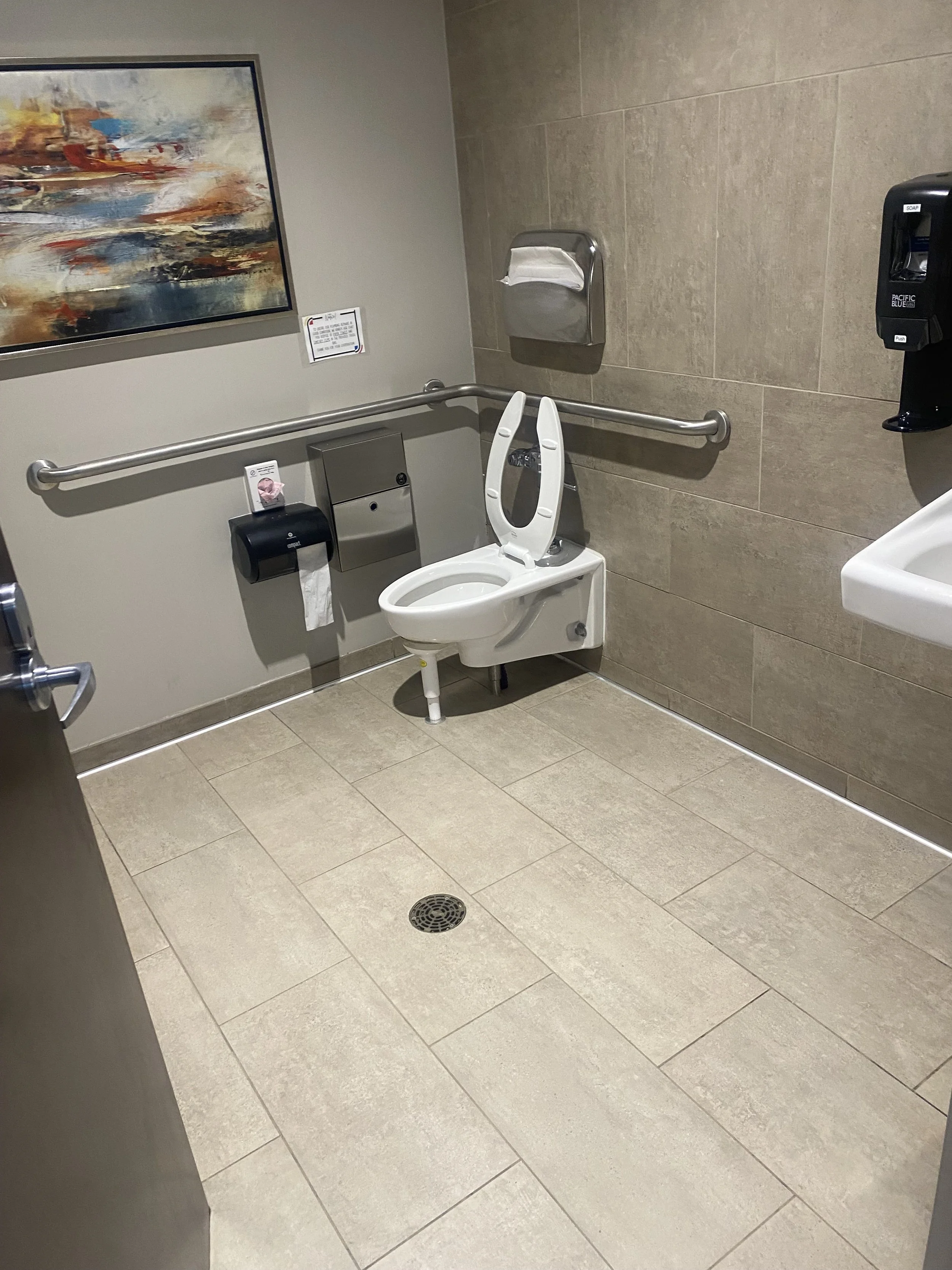 Public restroom with a raised toilet seat, supporting handrails, a wall-mounted soap dispenser, paper towel dispenser, and a decorative painting on the wall.