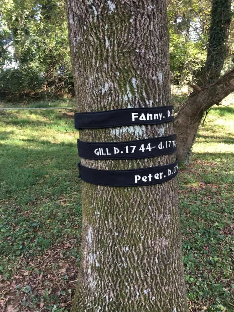 Treebands
