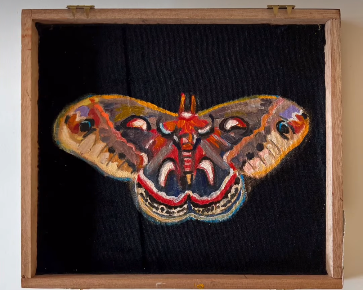 Cecropia Moth 2026, Oil on velvet on cigar box