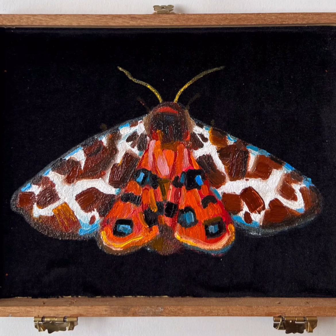 Tiger Moth 2026, Oil on velvet on cigar box