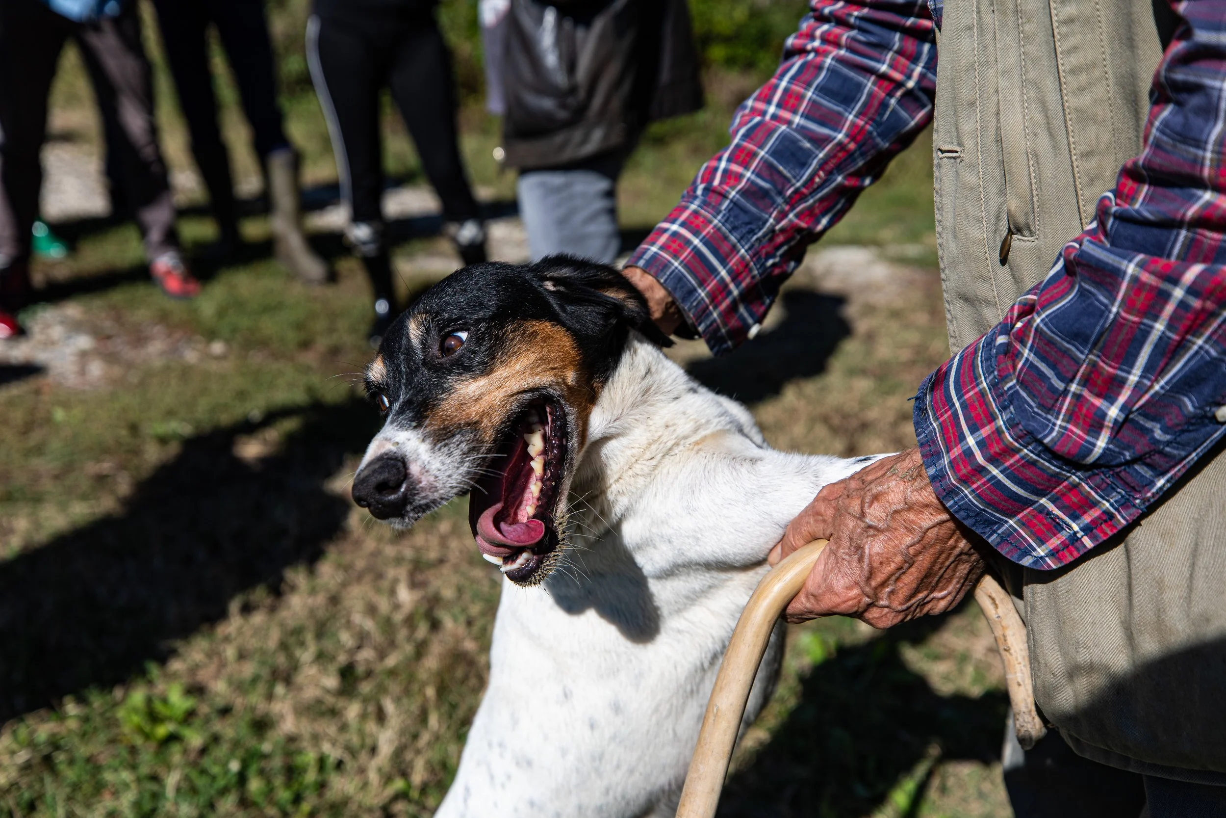 Sportwagentour Piemont 2020-898.jpg