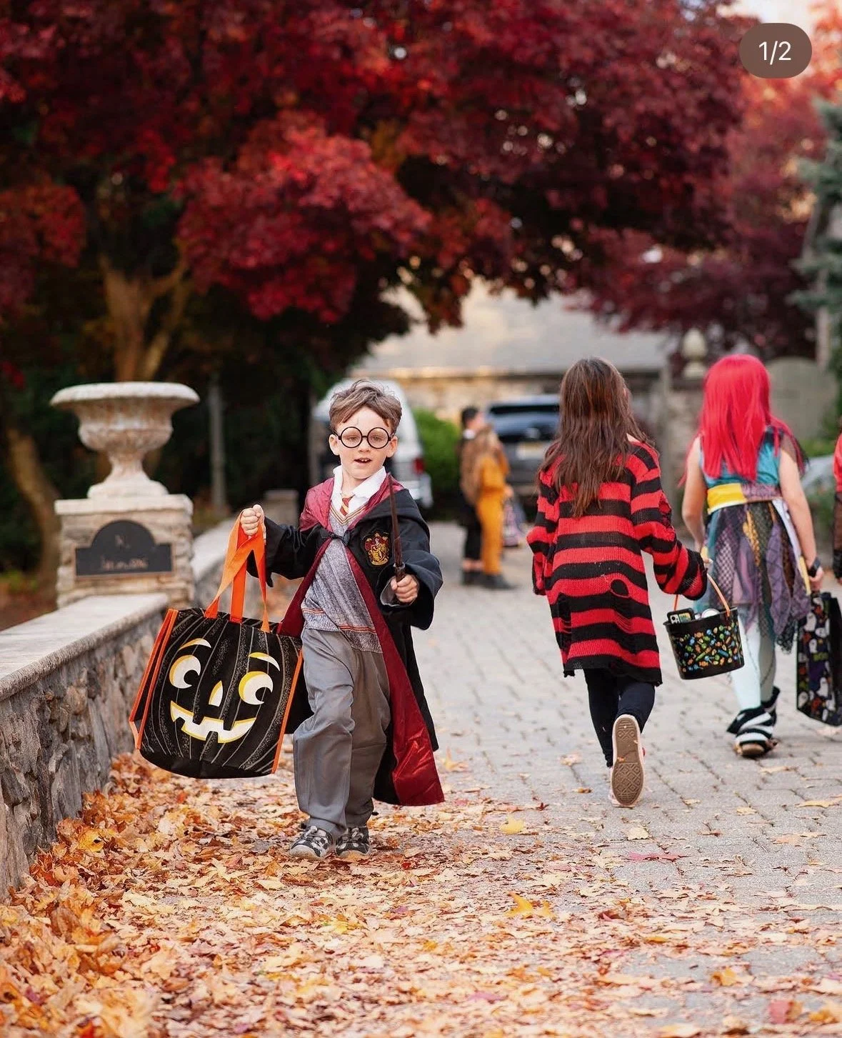 Halloween Festivities