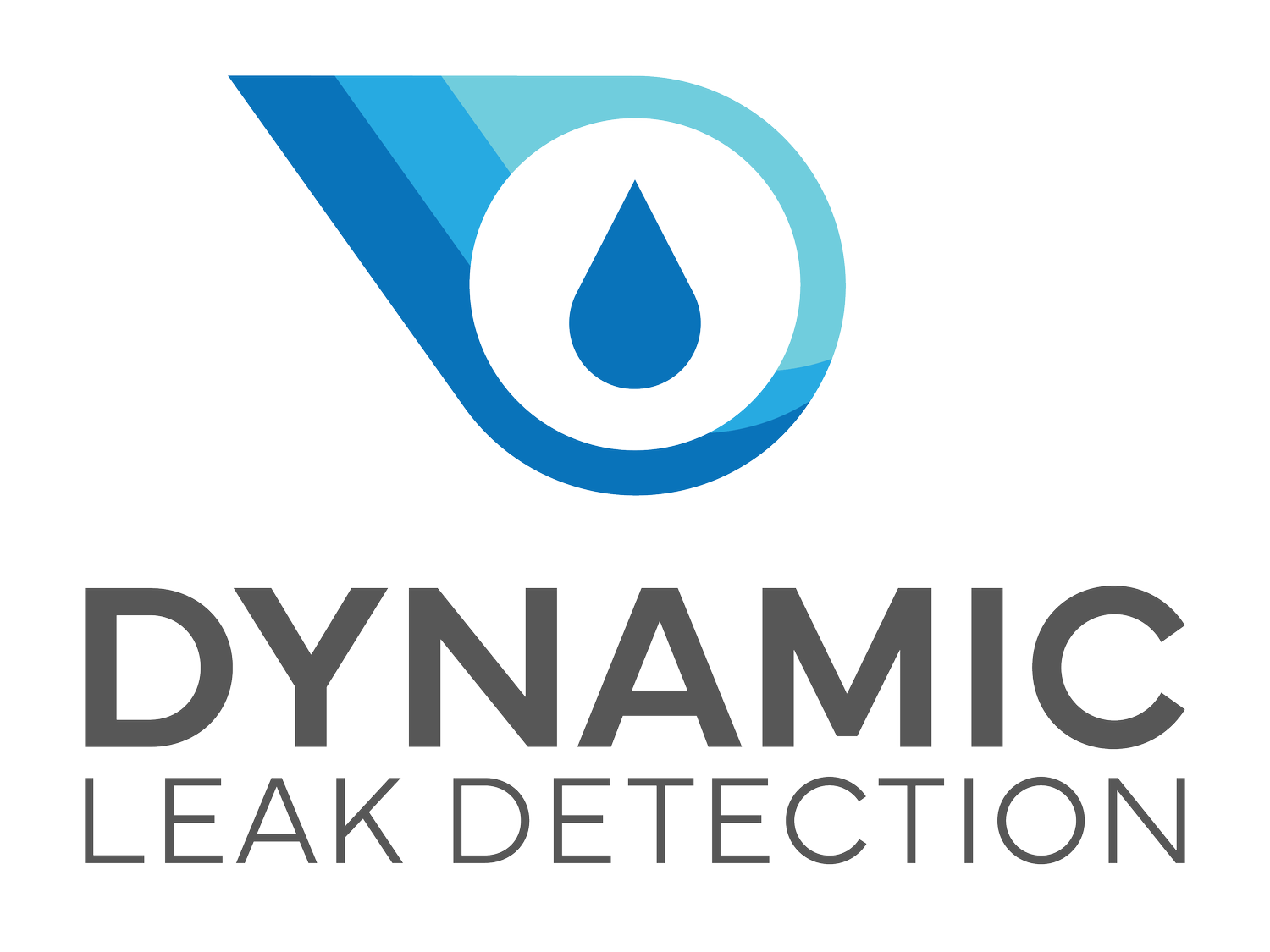 Dynamic Leak Detection