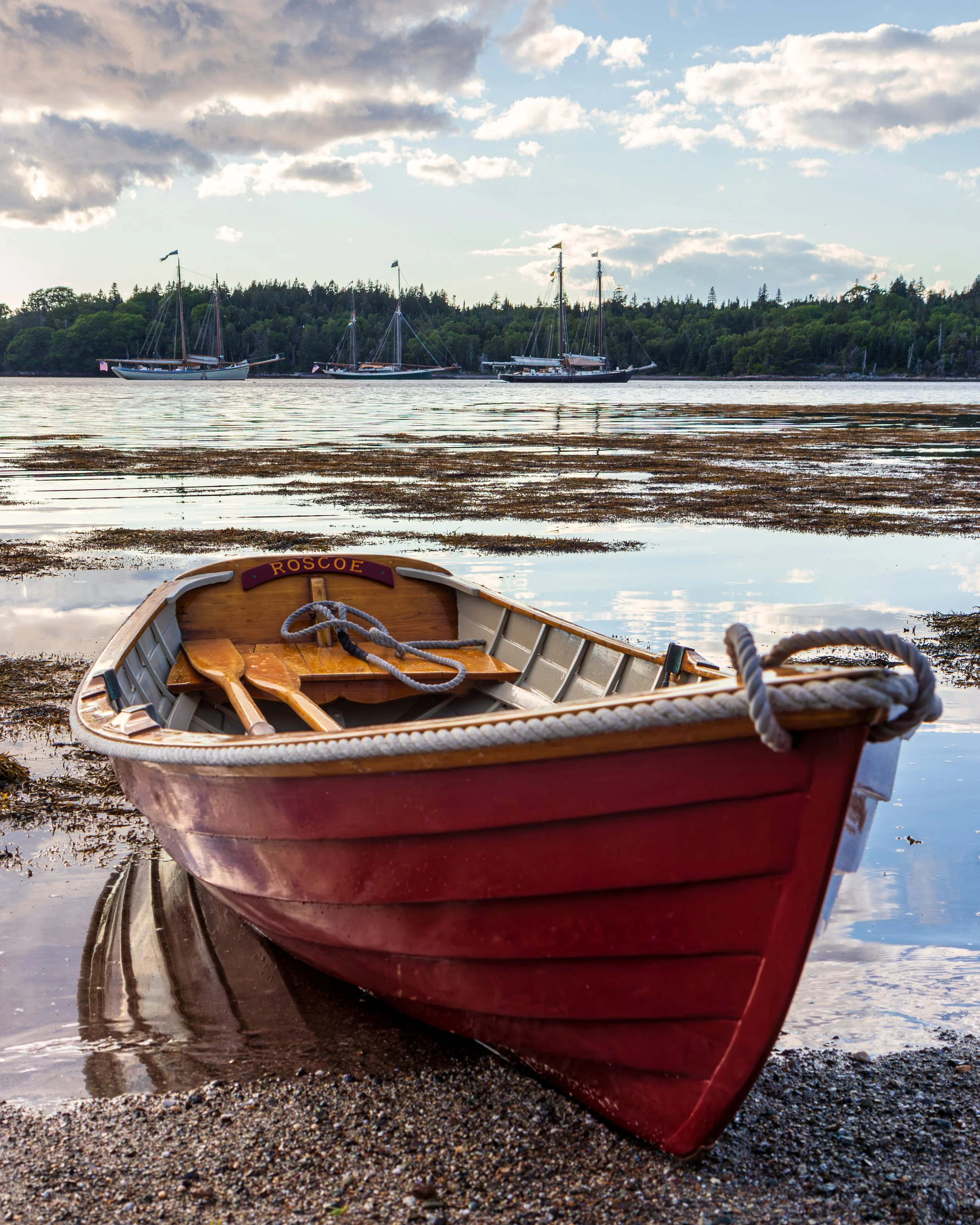 Roscoe sits on a beach with three schooners in the background