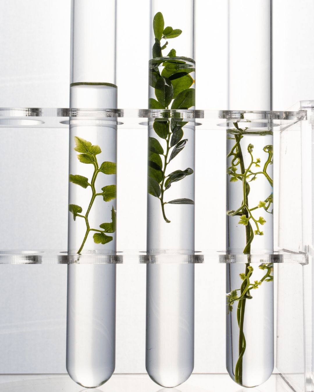 IV Nutrient Therapy & Vitamin Injections | Uptown Integrative Health ...