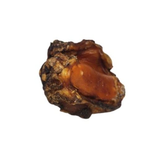 beef+patella+white+backgroud.jpg