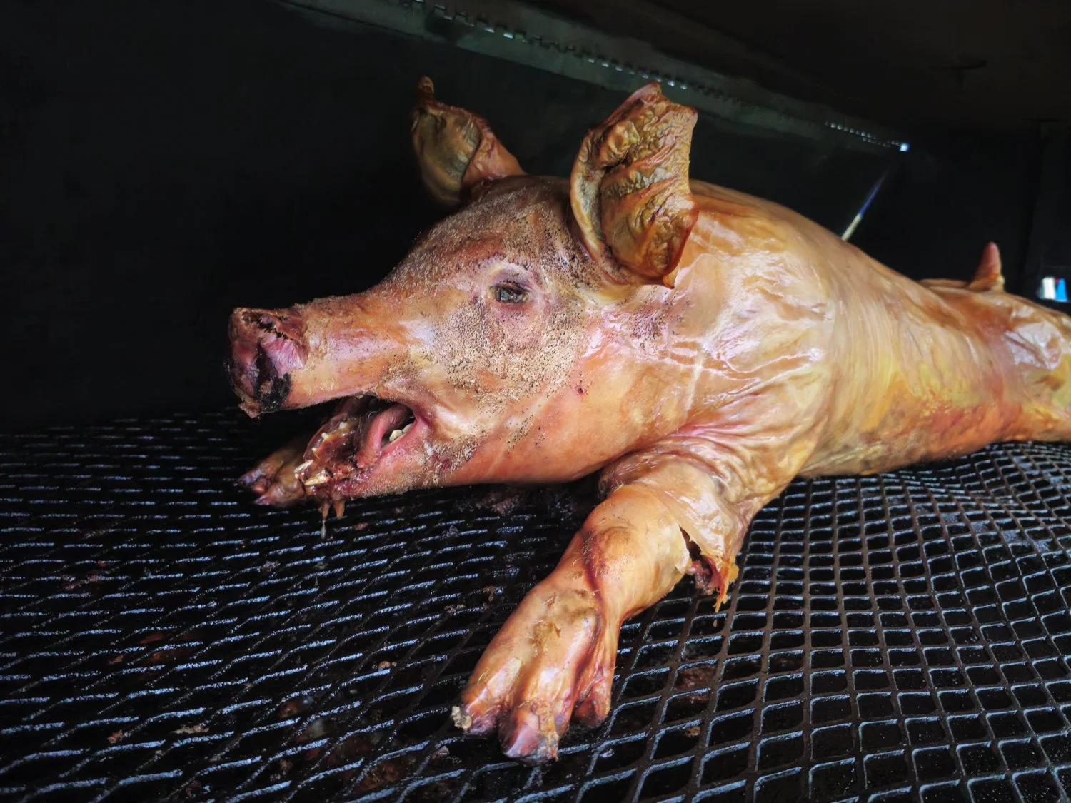 CG Table Pig Roast -Bachrach©-144348.jpg
