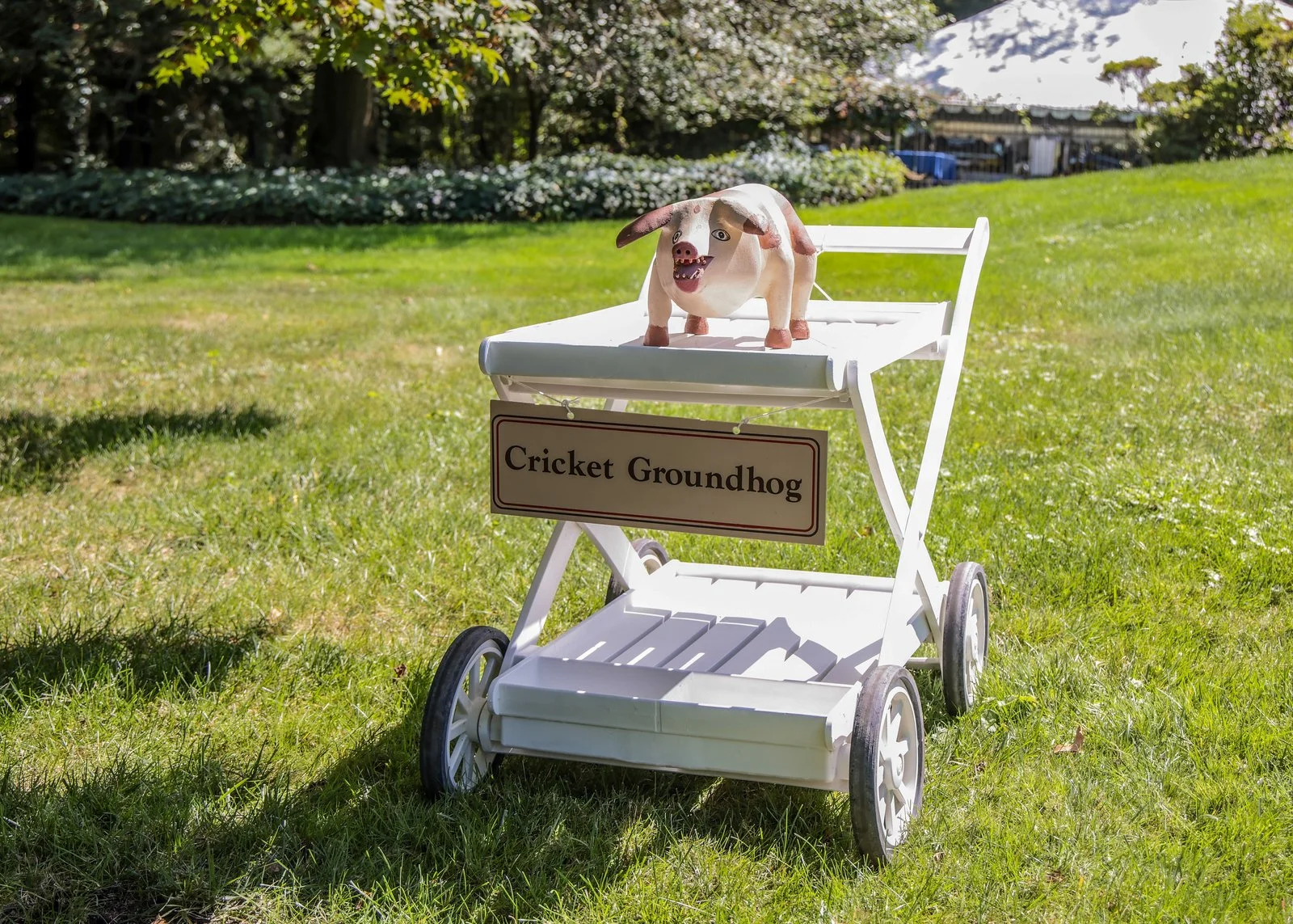Cricket Groundhog Pig Roast 2025-Bachrach©-80071.jpg