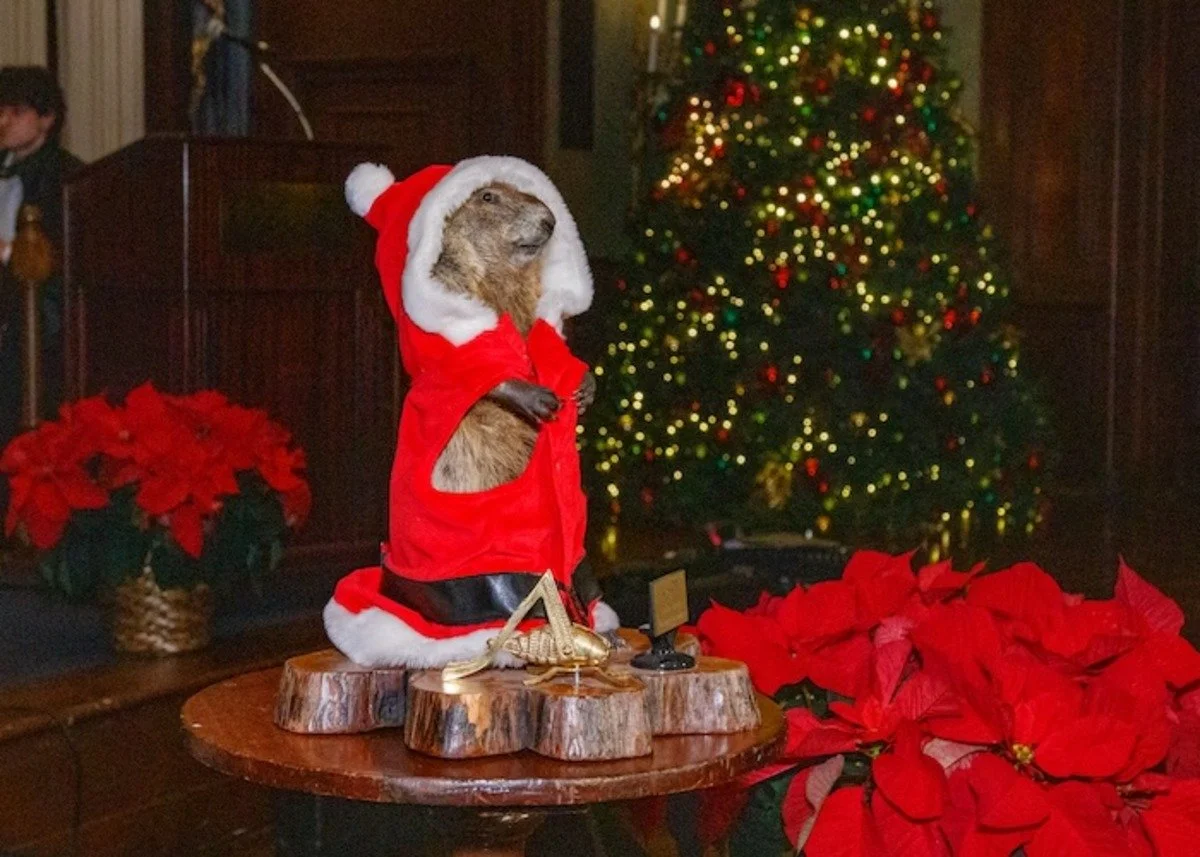 cricket+groundhog+christmas+-bachrach-6882.jpg