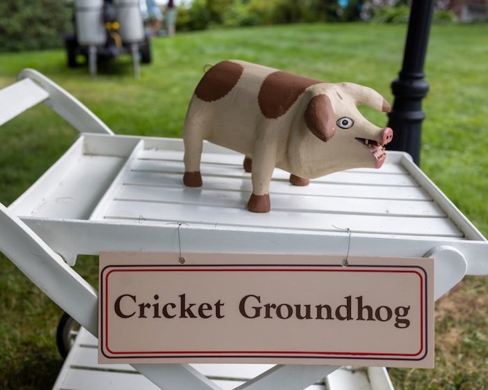 Cricket Groundhog Pig