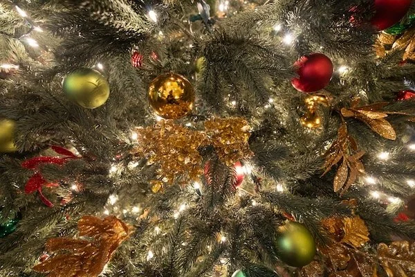 Cricket Groundhog Super 007 -Bachrach-0425 copy.jpg