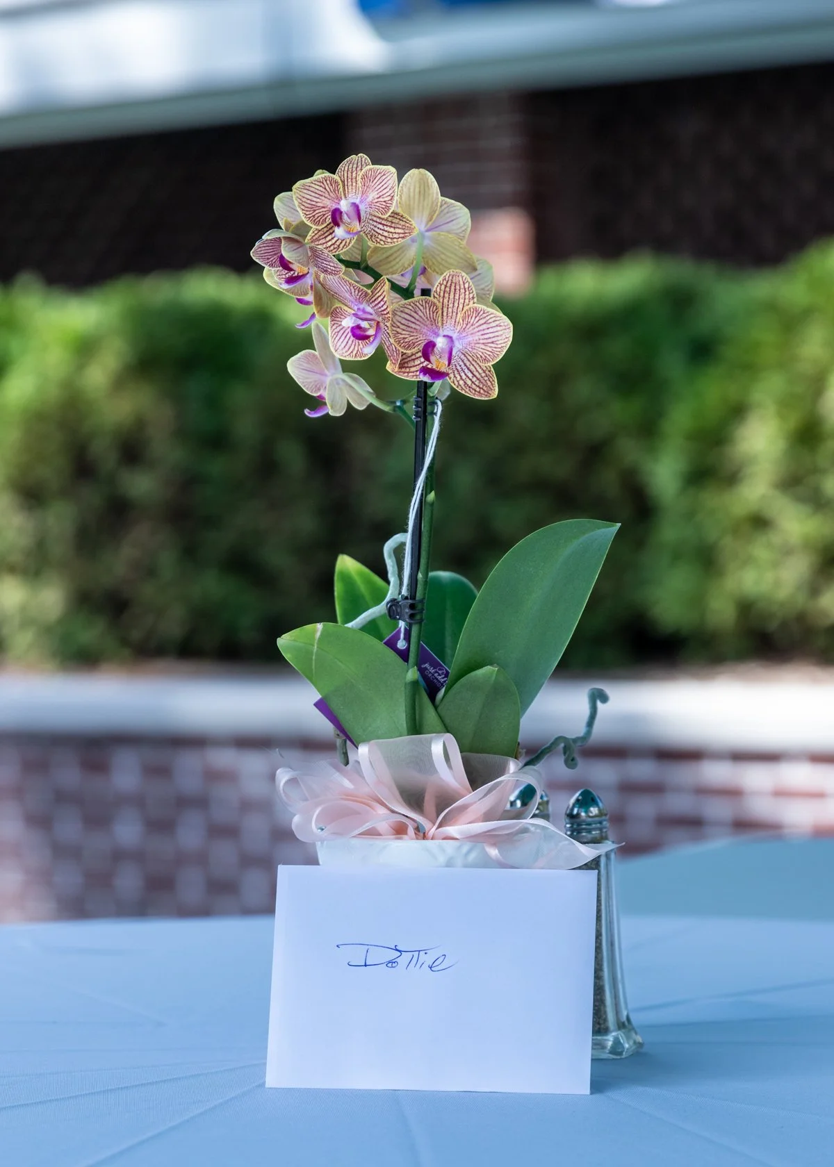 Pig Roast 2024 - Bachrach©-6984.jpg