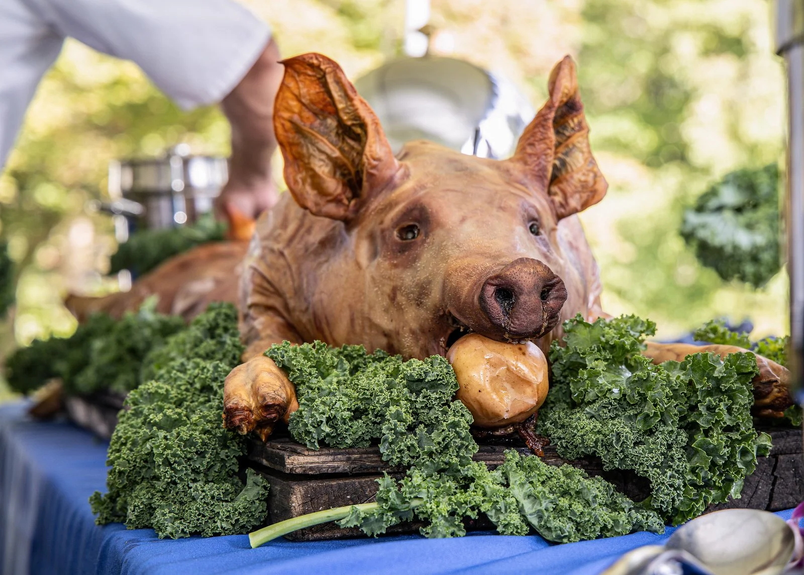 Cricket Groundhog Pig Roast 2025-Bachrach©-7058.jpg