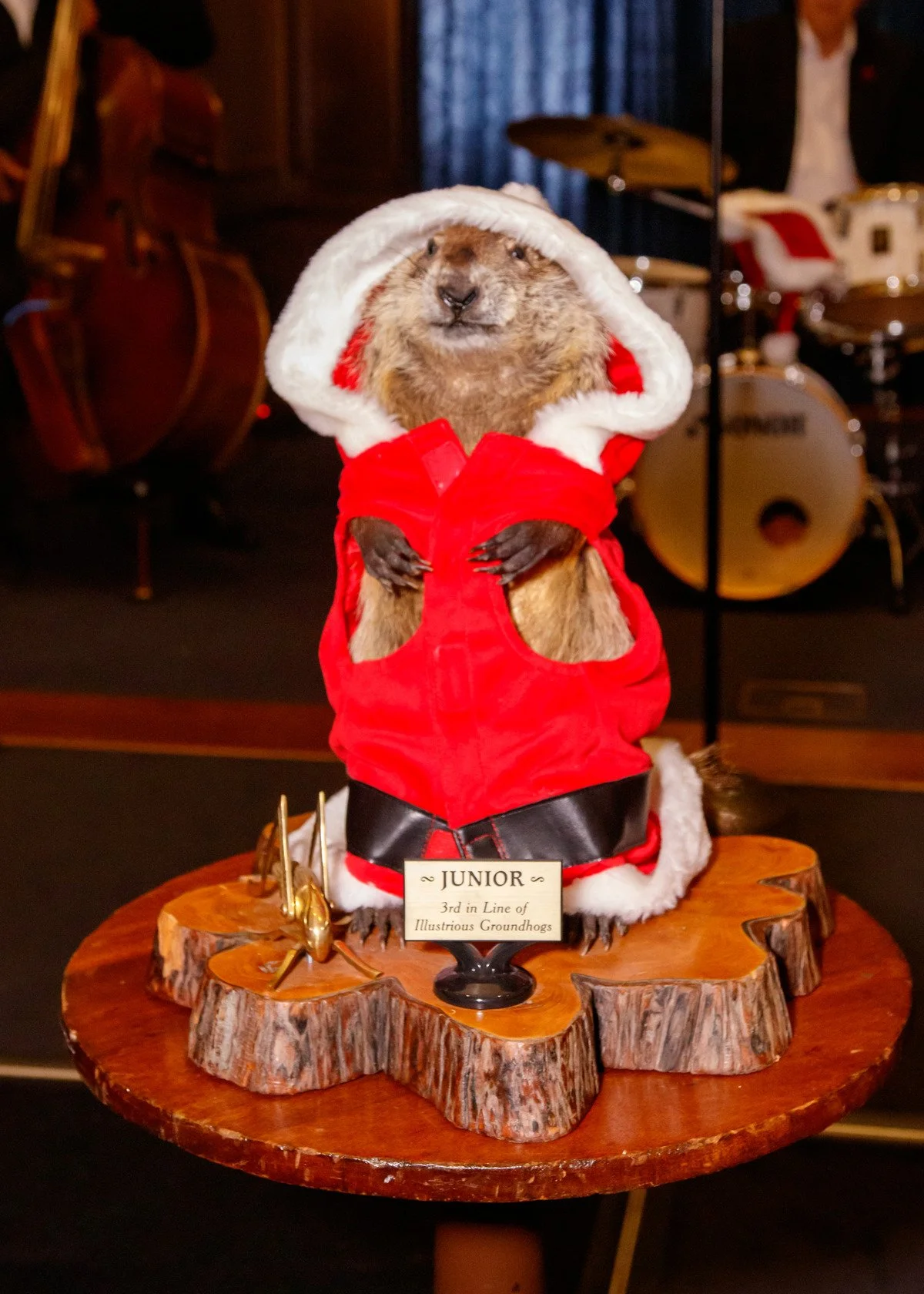 cricket+groundhog+christmas+-bachrach-6864.jpg
