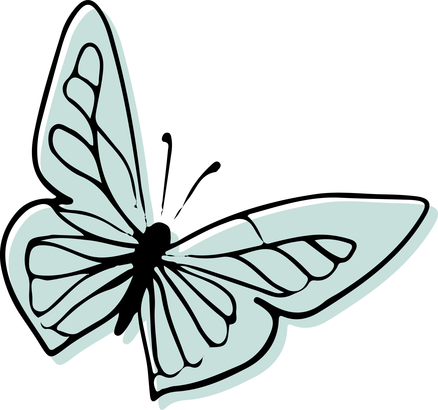 Une illustration d'un papillon stylisé avec des ailes bleu-vert et des motifs noirs.