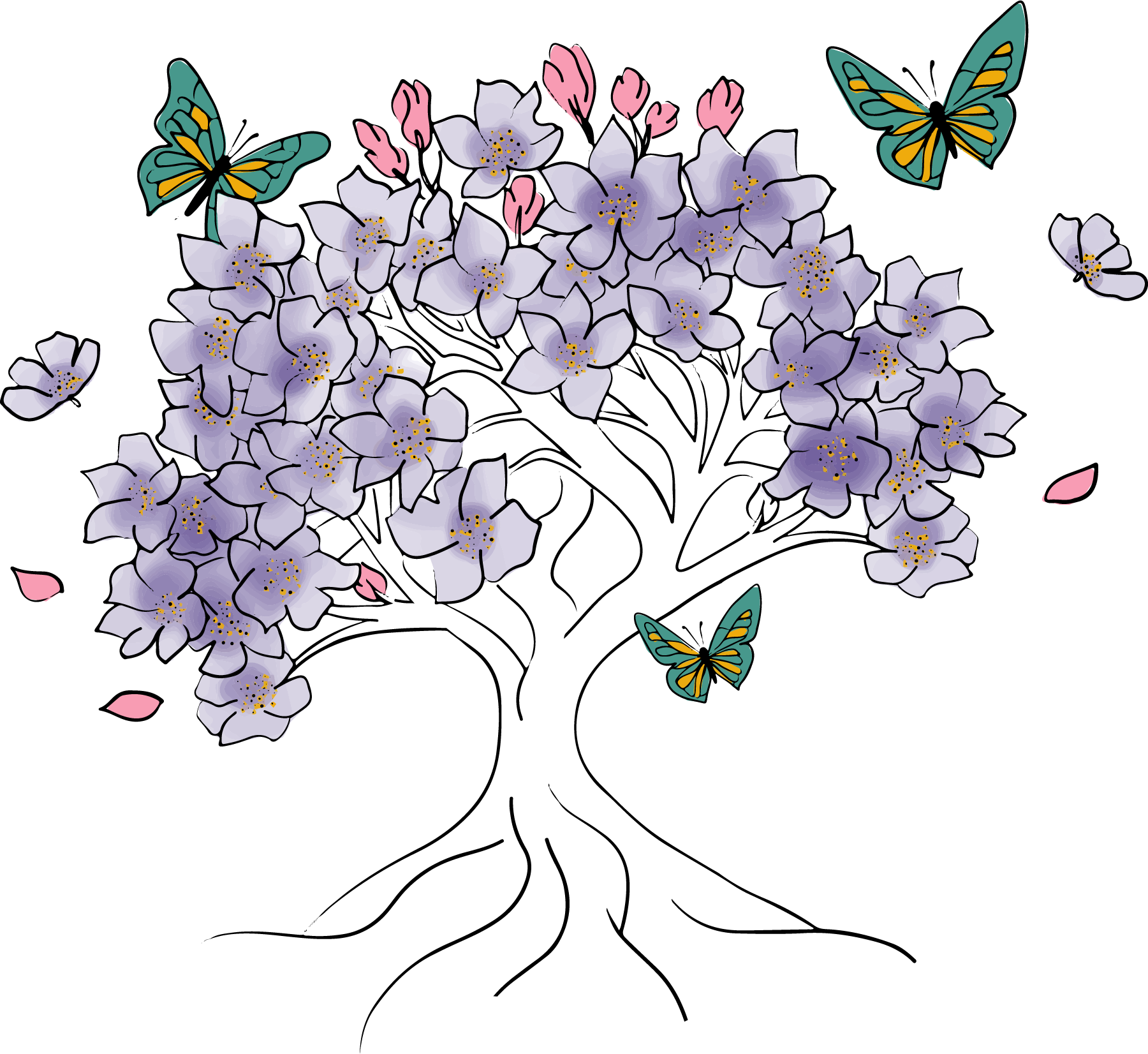 Schéma illustrant le cycle de vie des pivoines, incluant la plantation, la croissance, la floraison, la pollinisation par des papillons, puis la récolte et la plantation des graines.