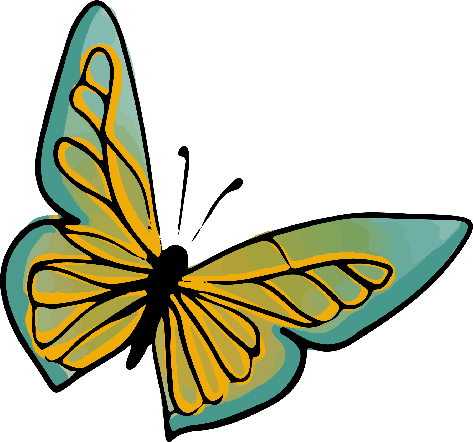 Illustration d'un papillon coloré avec des ailes vertes et jaunes.