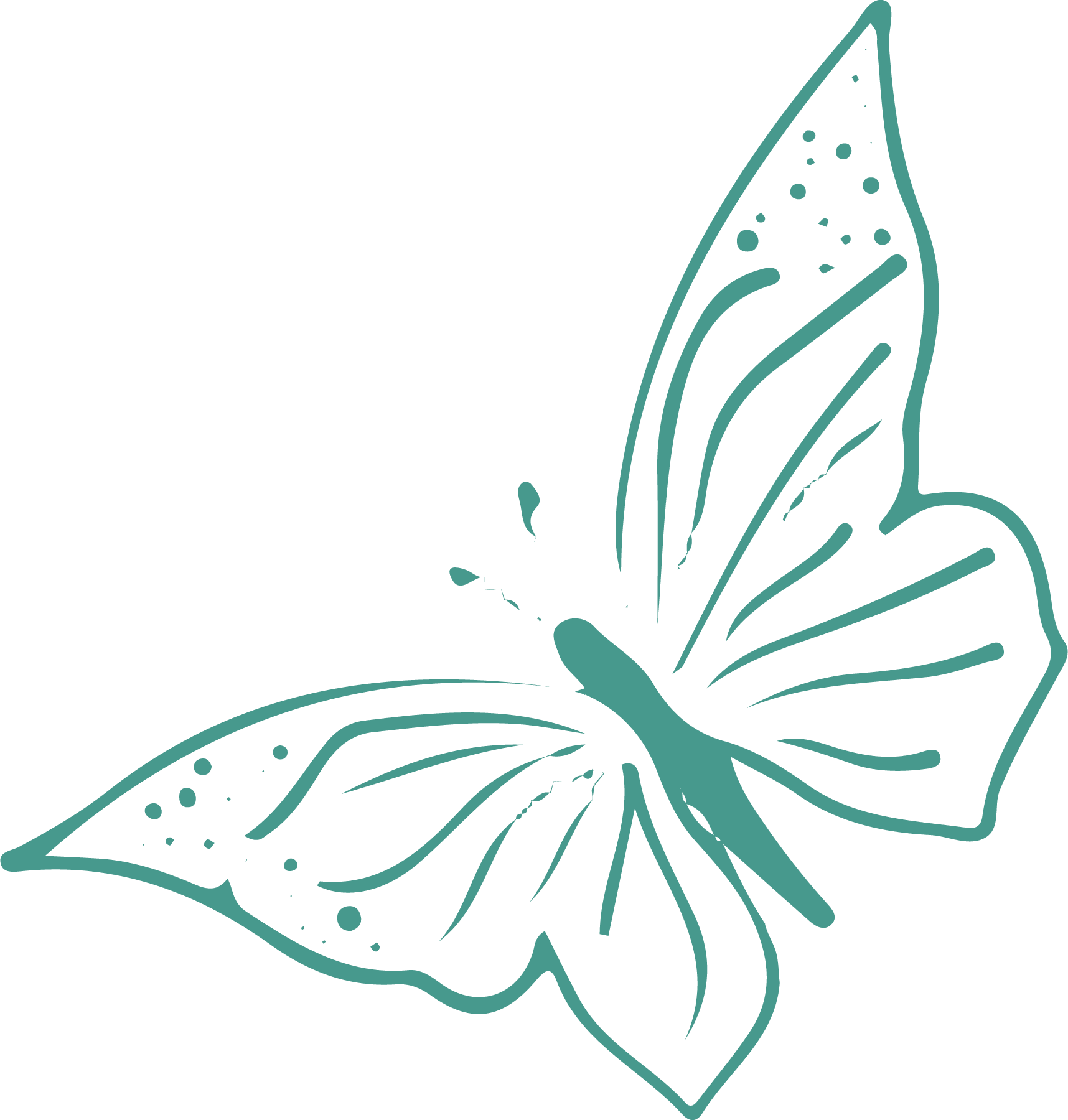 Illustration of a butterfly