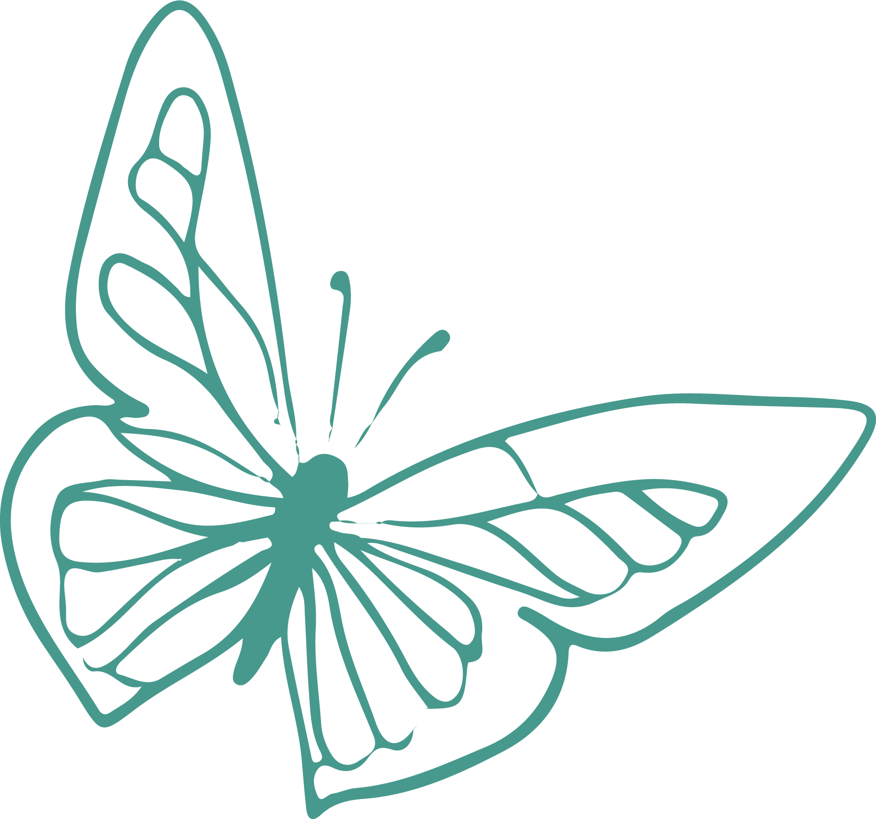 Illustration stylisée d'un papillon en vert.